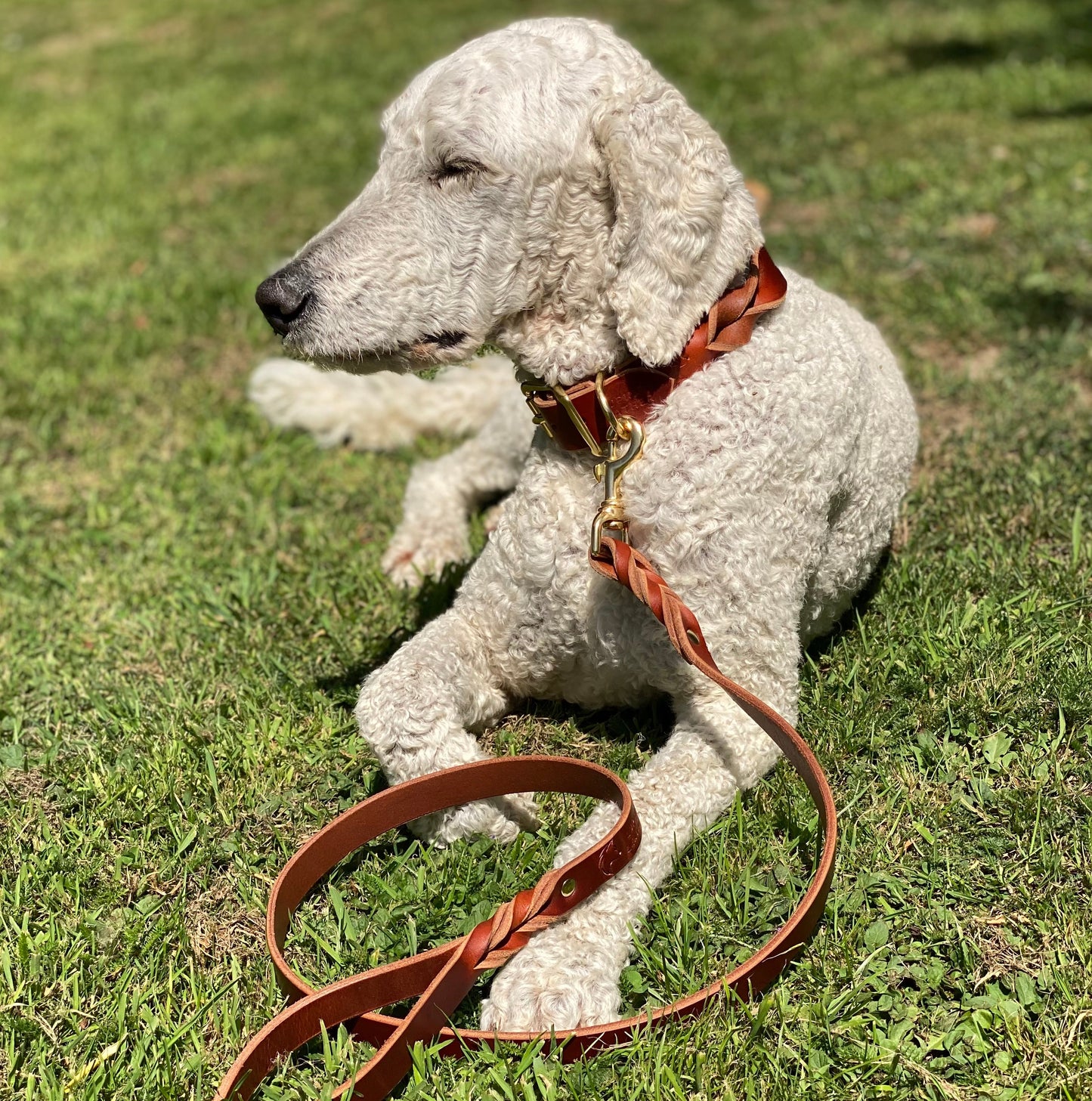 Braided Latigo Collar in Tan