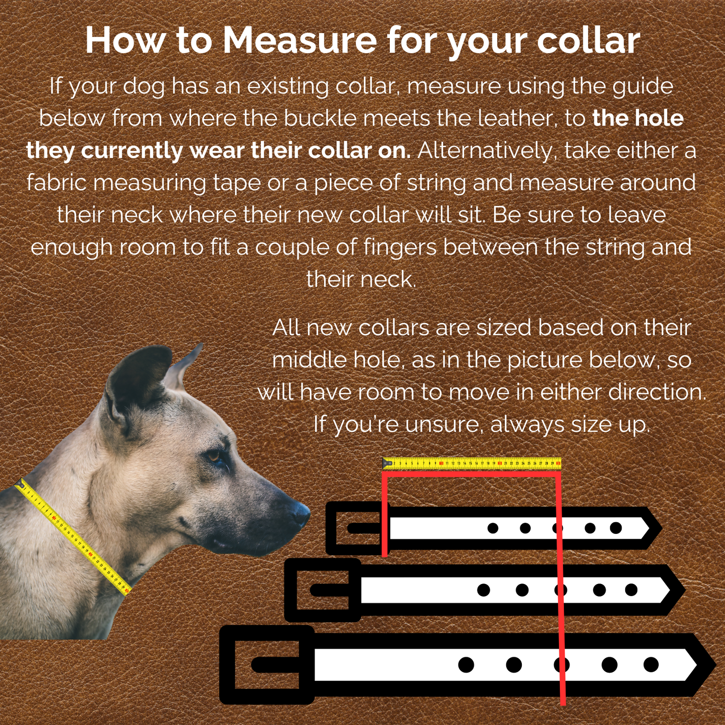 Quick Ship - Rask fits neck 14.5-17.5"