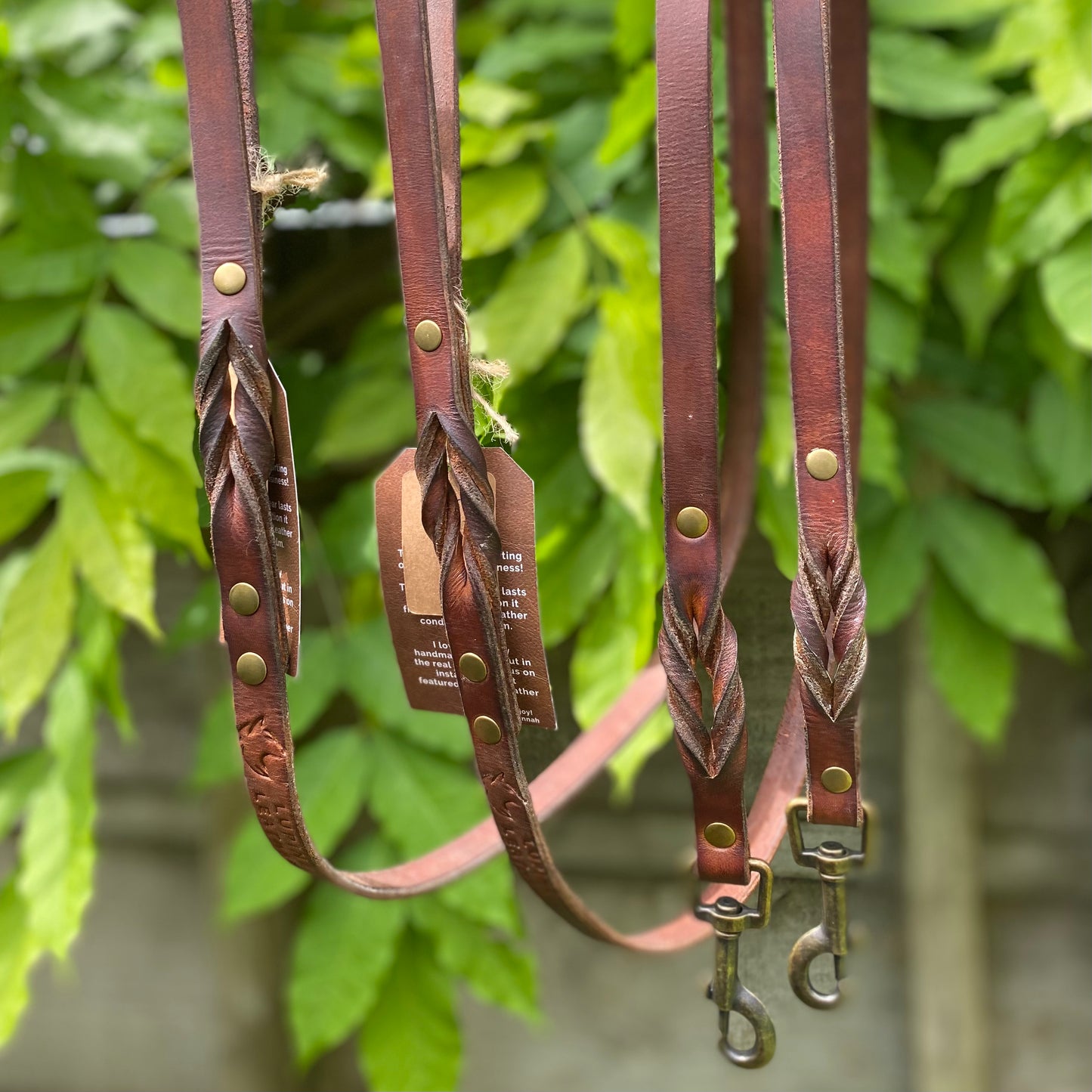 Braided Leather Dog Leash
