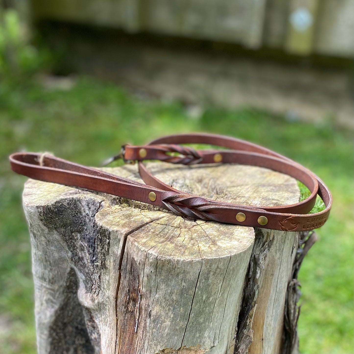 Braided Leather Dog Leash