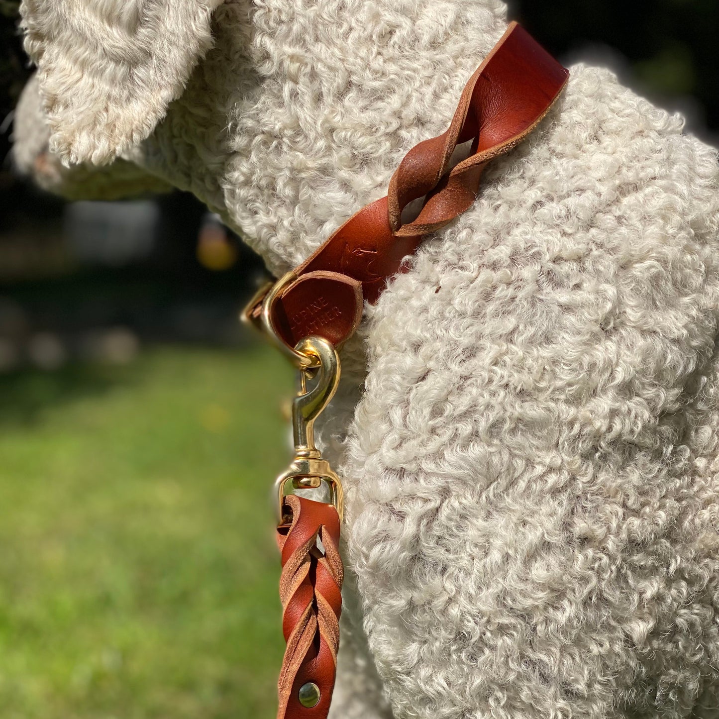 Braided Latigo Collar in Tan