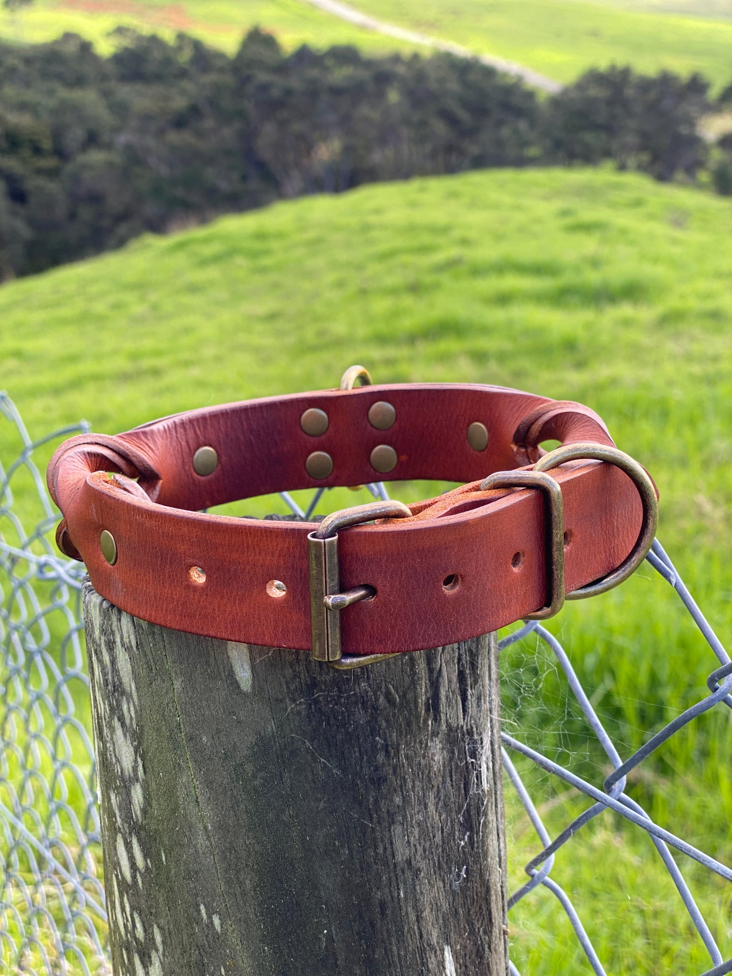 "Rask" - Braided Leather Buckle Collar