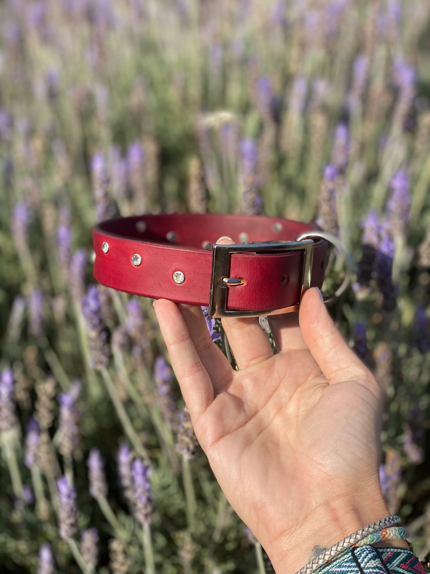 "Velo" - Wide Studded Leather Buckle Collar