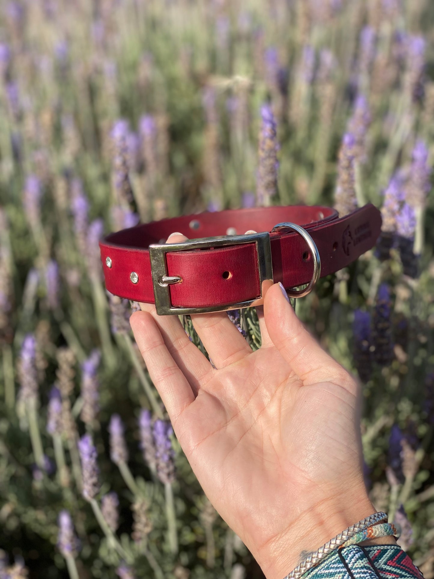 "Velo" - Wide Studded Leather Buckle Collar