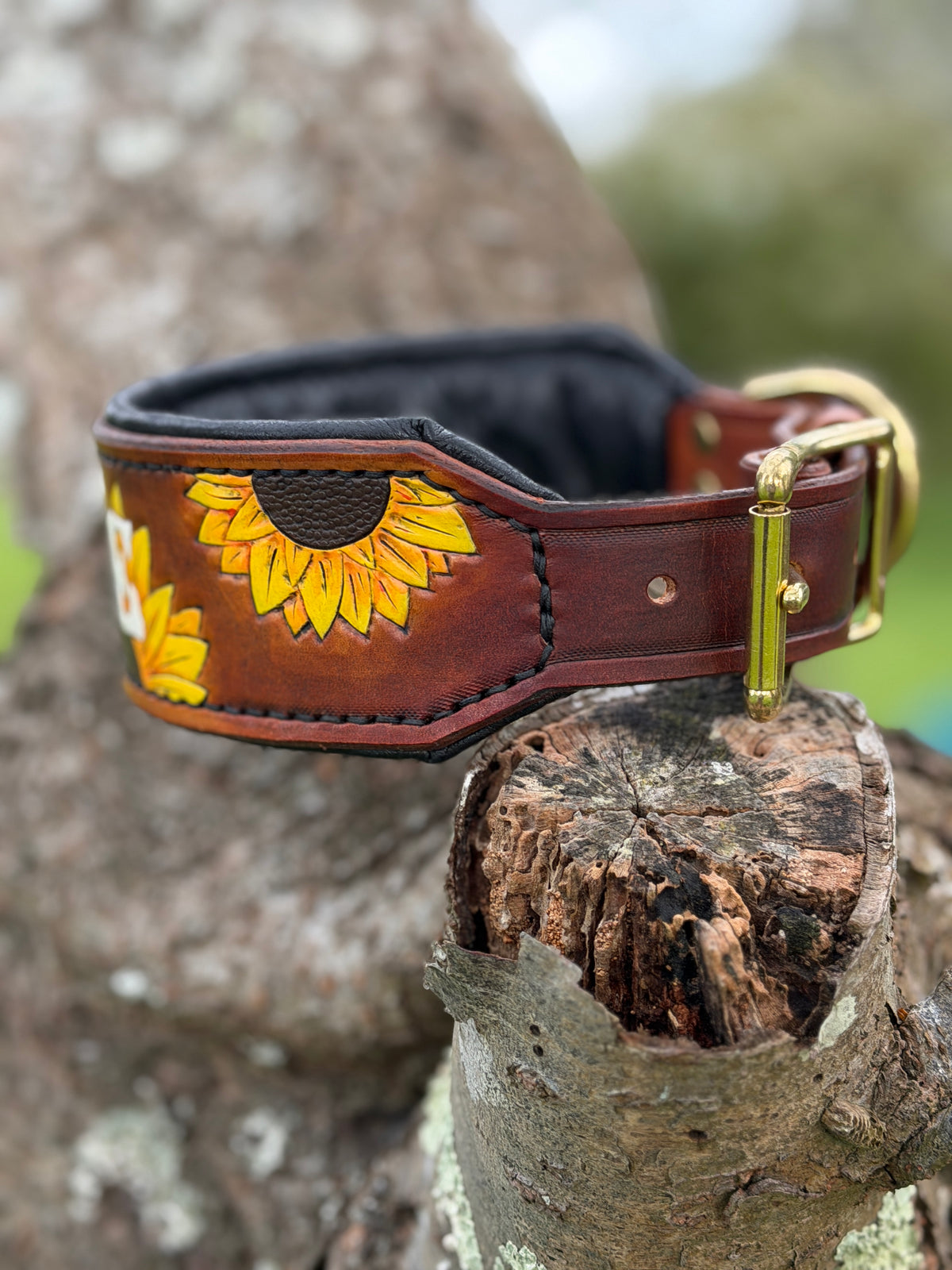 SUNNY - Sunflower Themed Tooled Leather Dog Collar