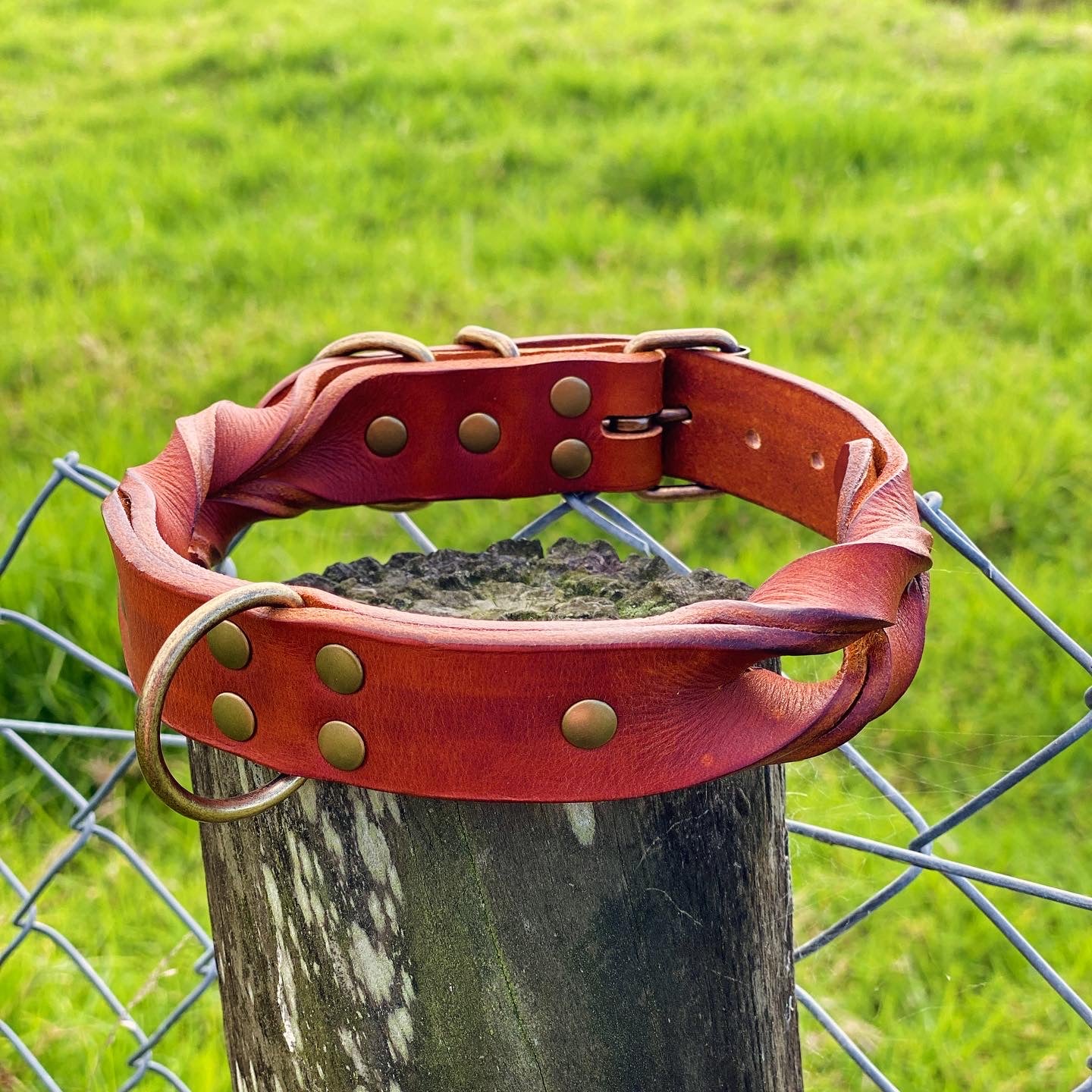 "Rask" - Braided Leather Buckle Collar