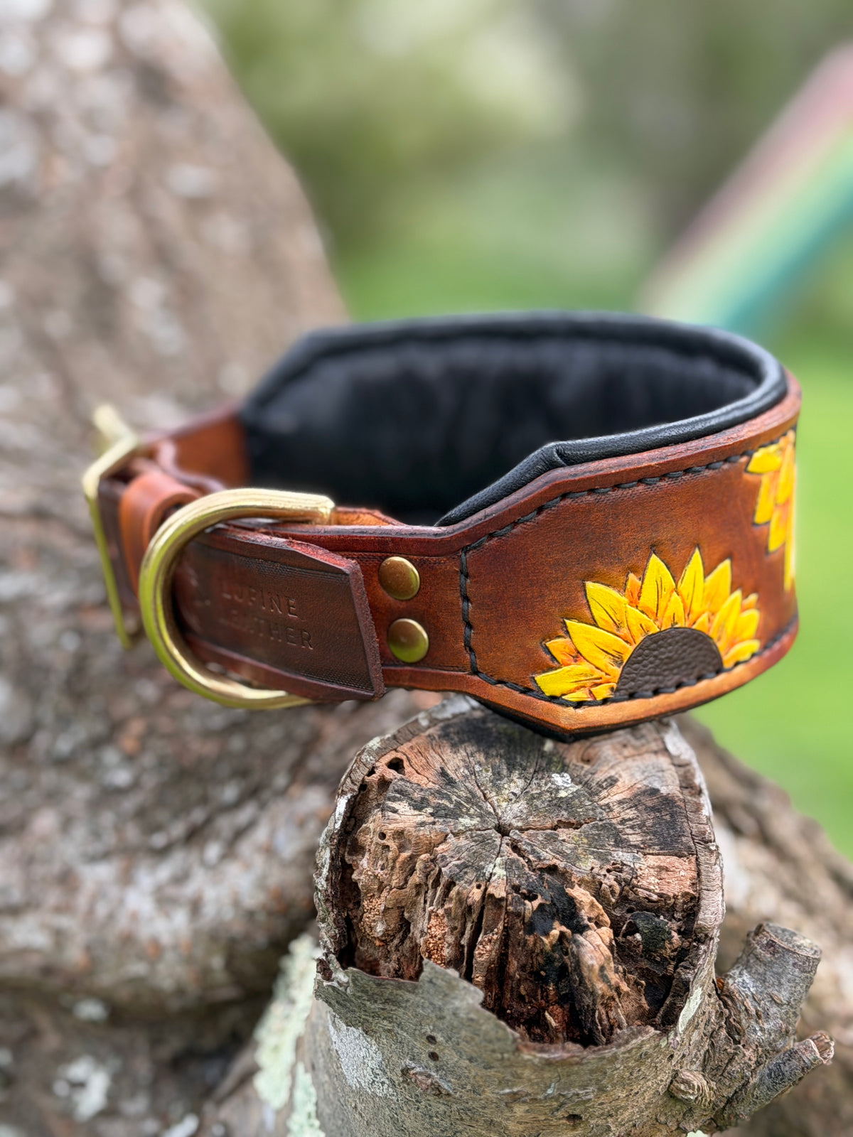 SUNNY - Sunflower Themed Tooled Leather Dog Collar