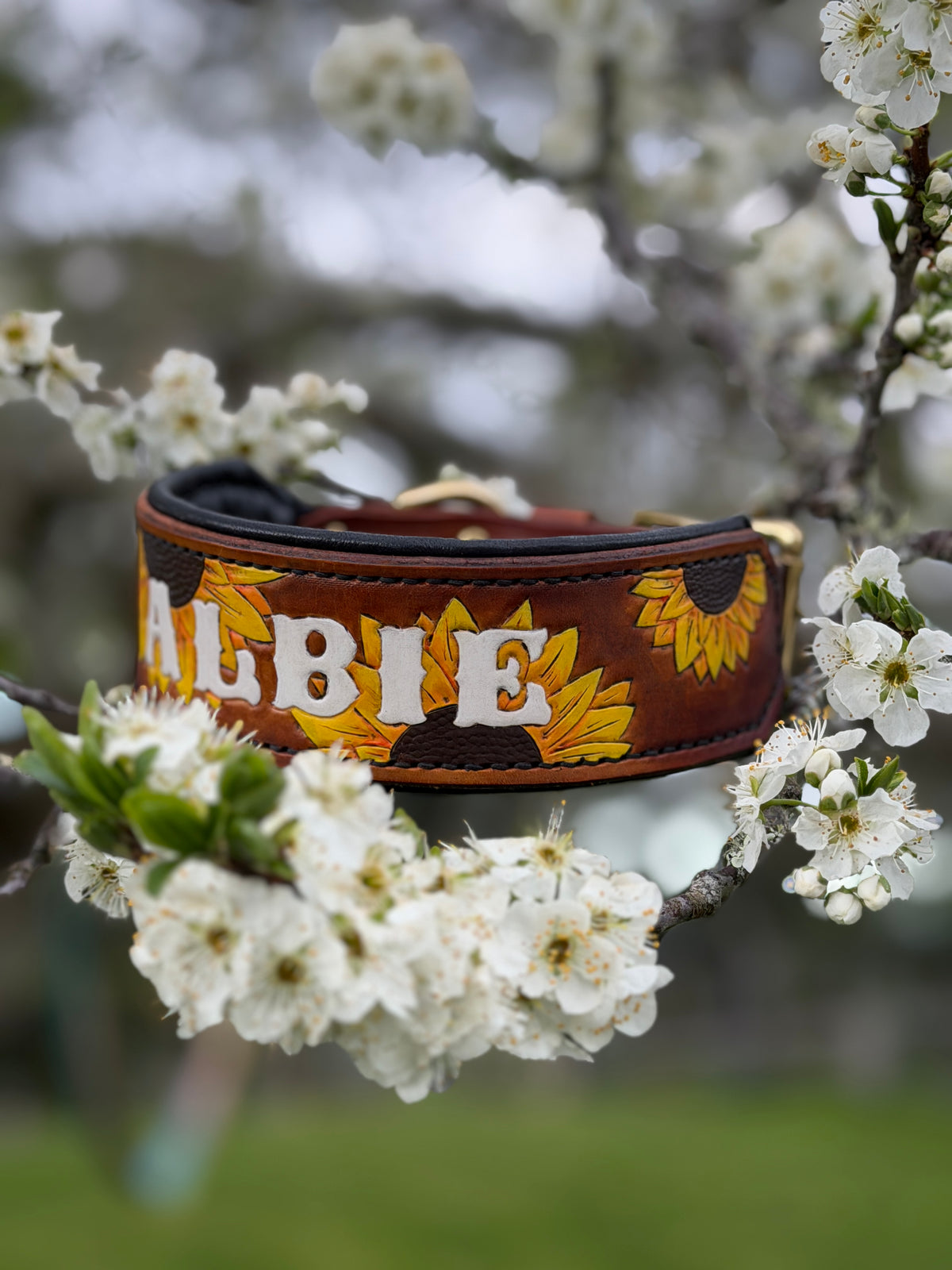 SUNNY - Sunflower Themed Tooled Leather Dog Collar