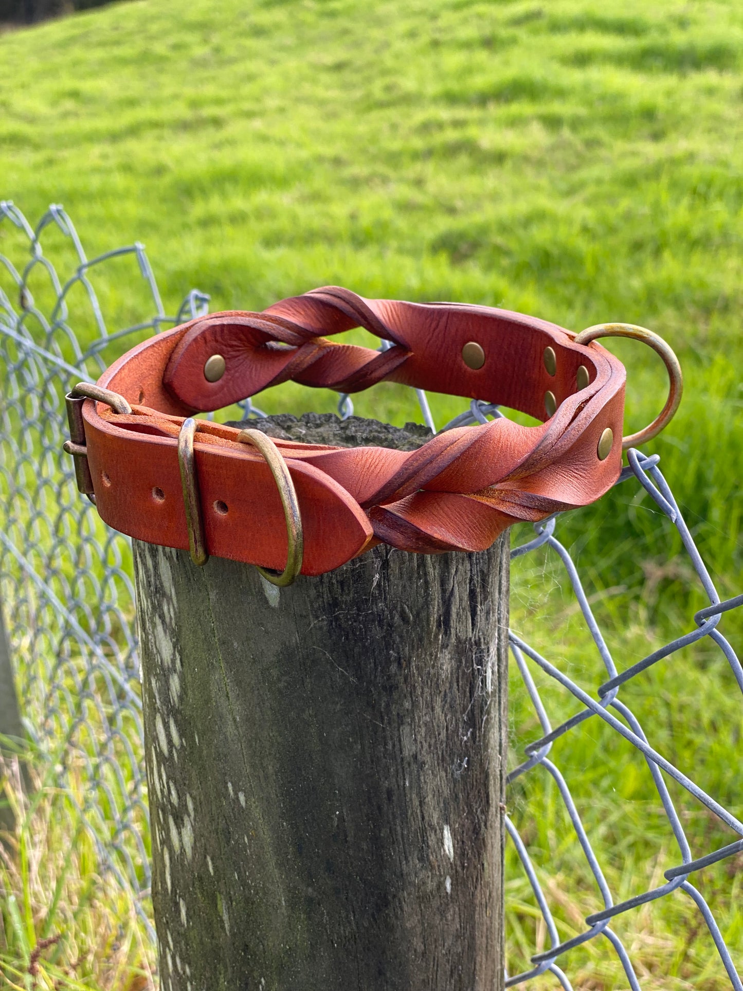 "Rask" - Braided Leather Buckle Collar