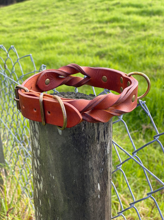 "Rask" - Braided Leather Buckle Collar