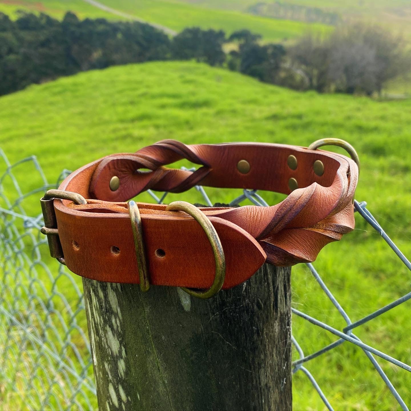 "Rask" - Braided Leather Buckle Collar