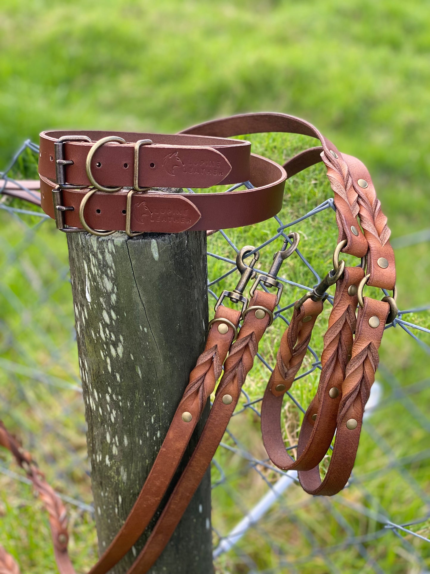 "Classic" - Leather Flat Collar