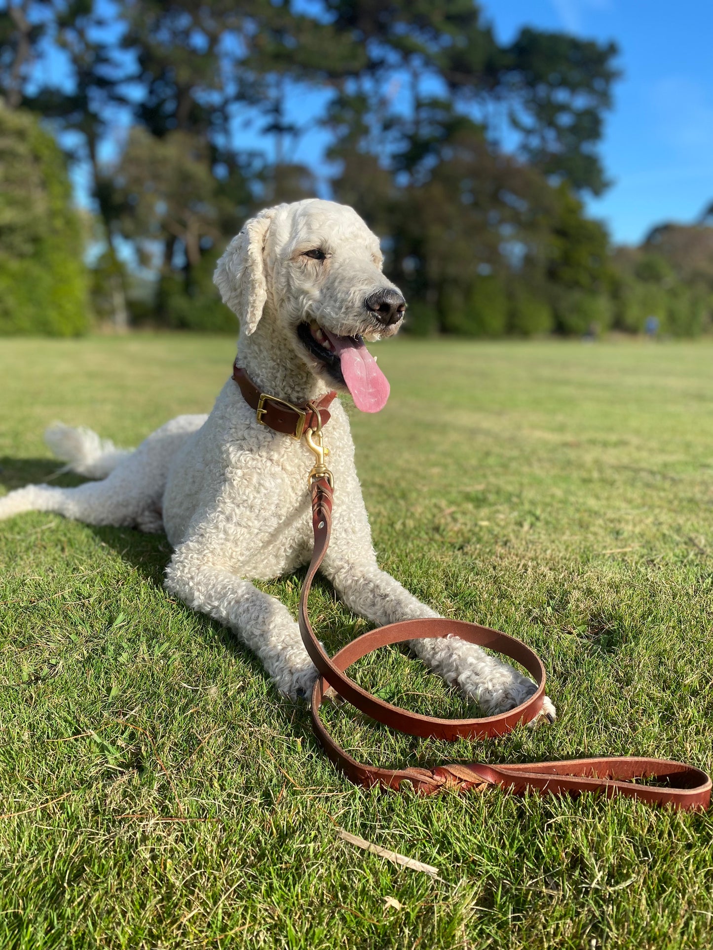 Braided Latigo Leash in Tan