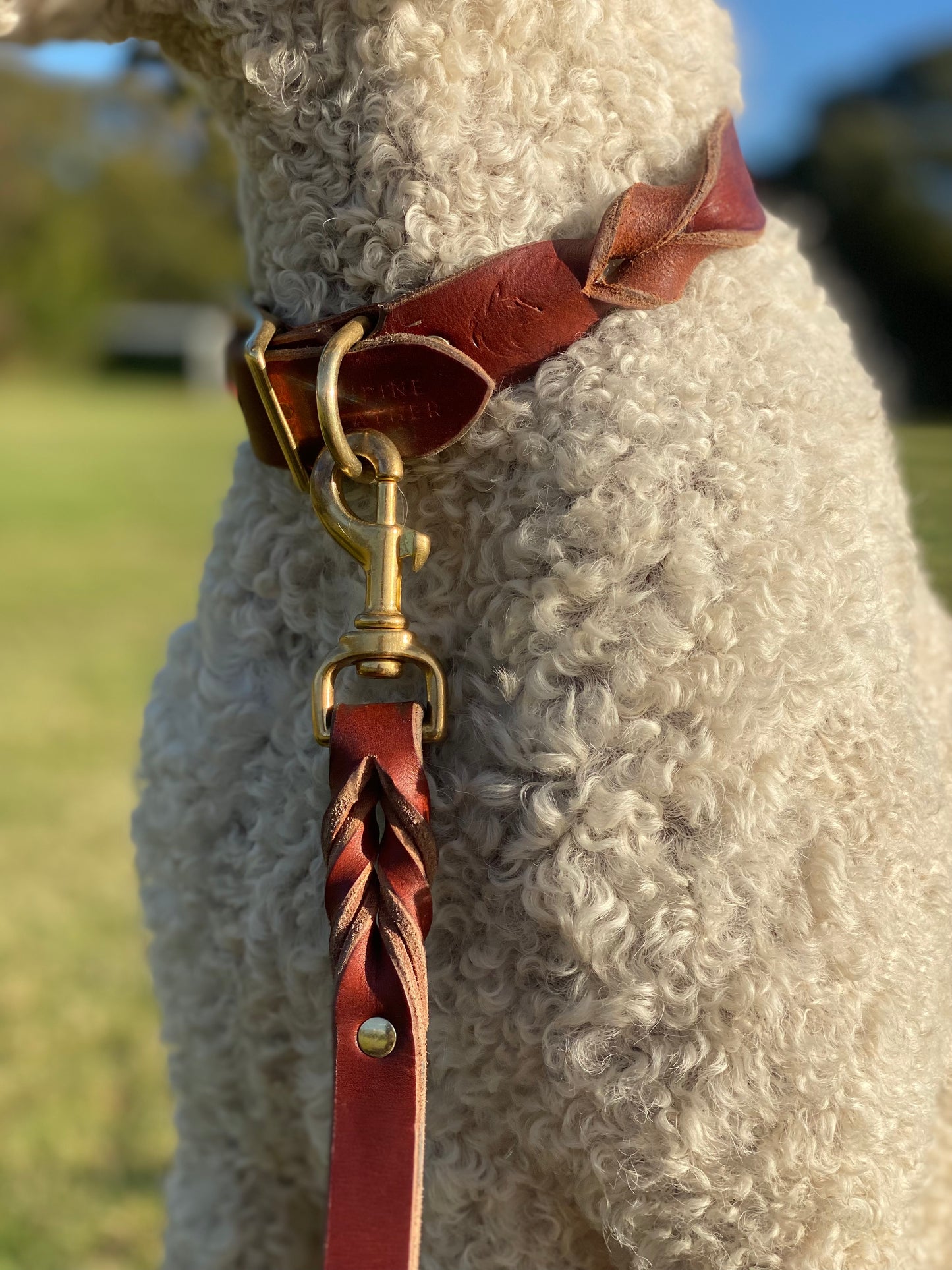 Braided Latigo Leash in Tan