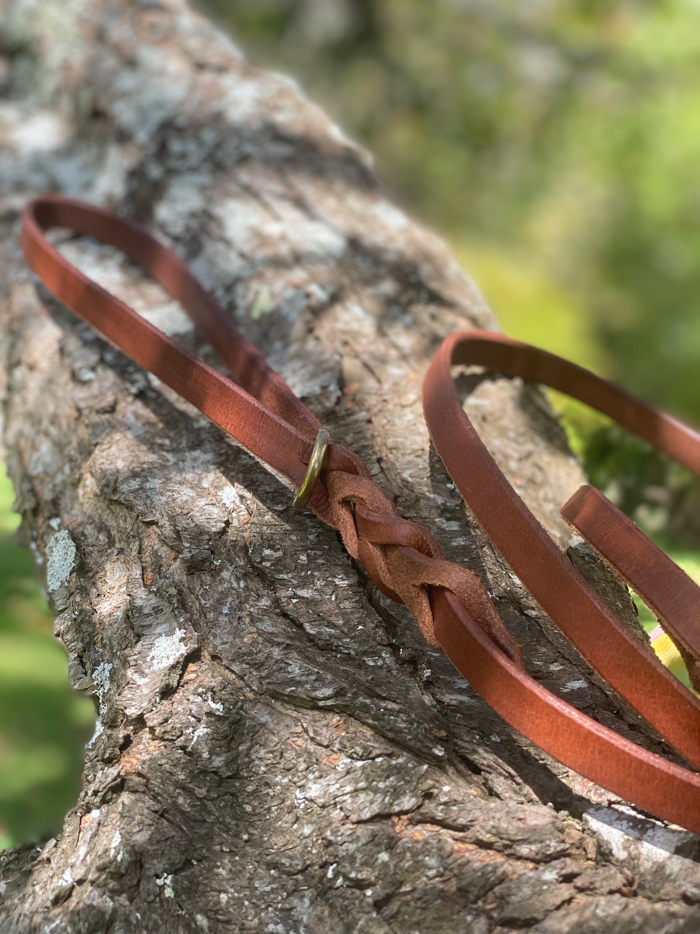 Braided Leather Snap Leash - 5ft Tan & Brass
