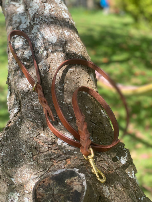 Braided Leather Snap Leash - 5ft Tan & Brass