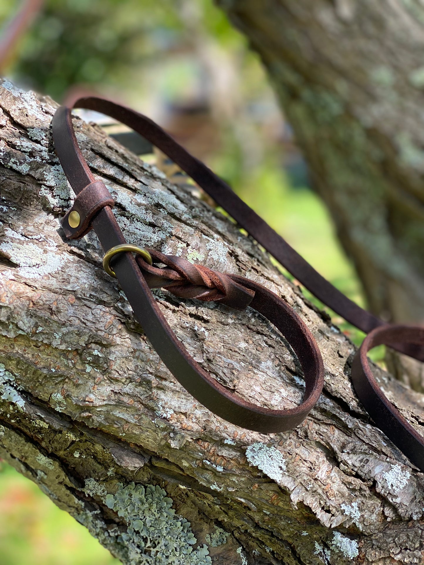 Braided 5ft Leather Slip Leash