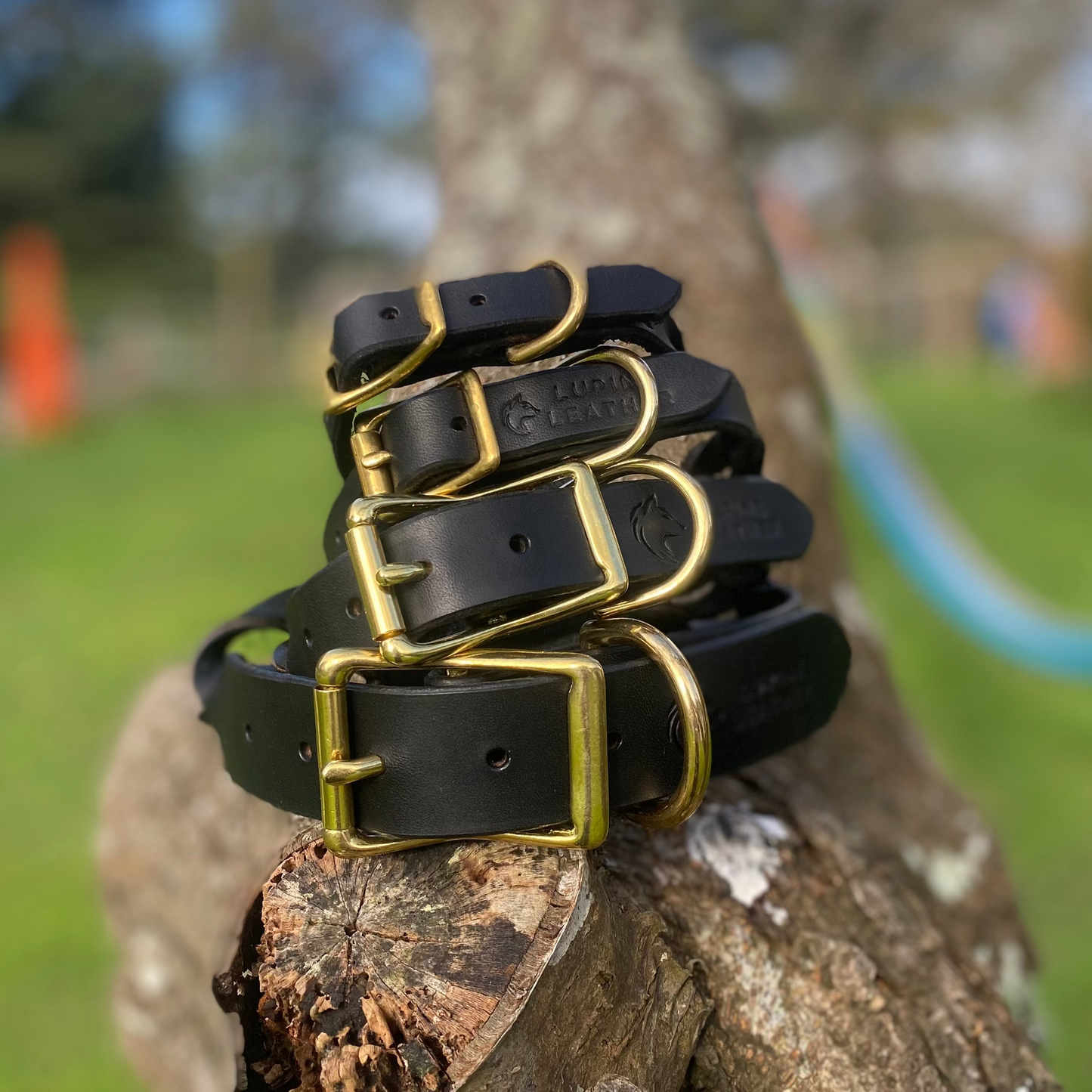 Braided Latigo Collar in Black