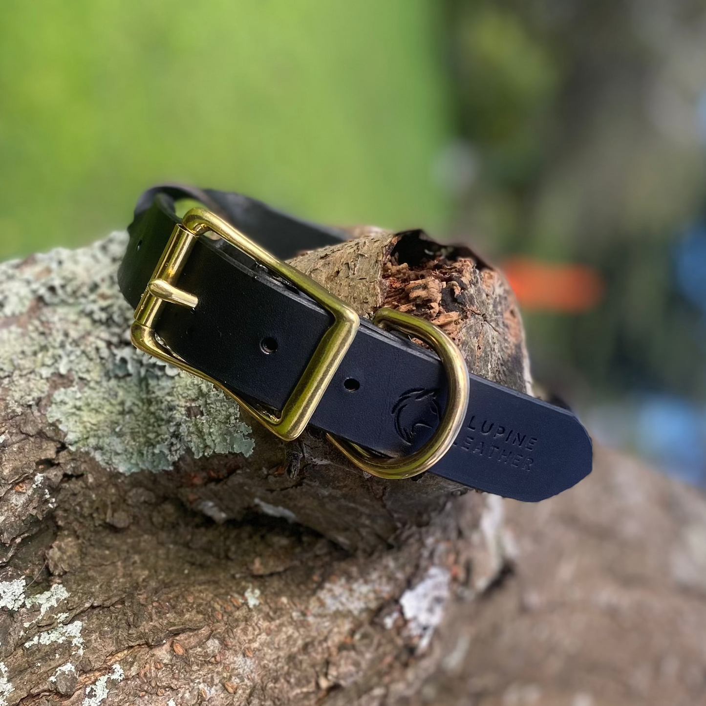 Braided Latigo Collar in Black