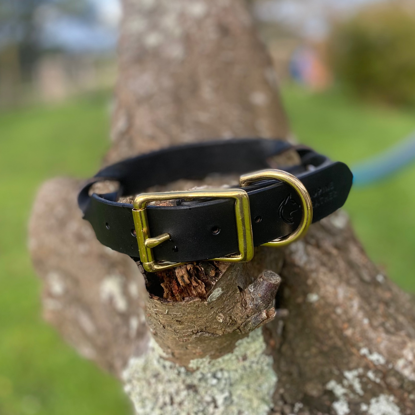 Braided Latigo Collar in Black