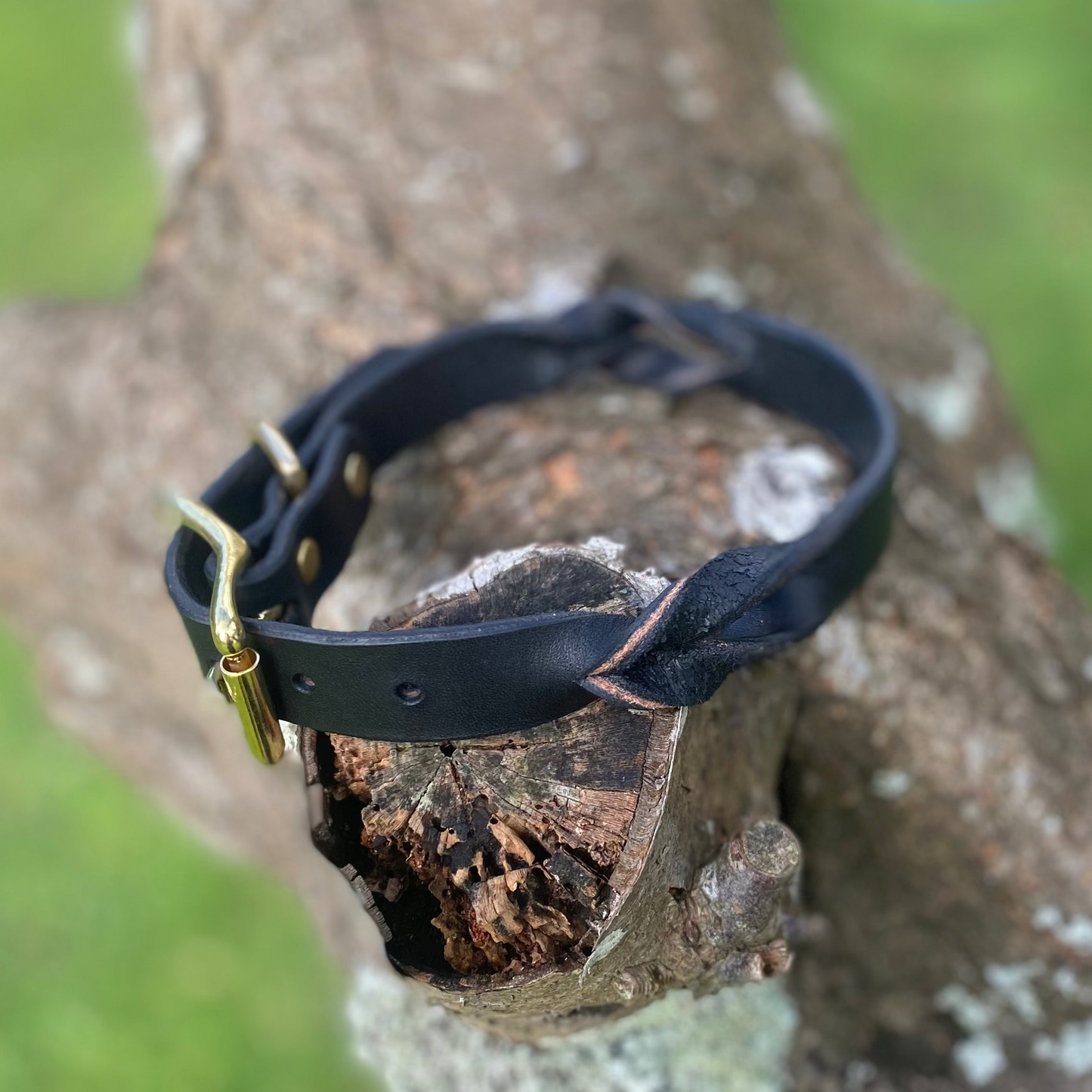 Braided Latigo Collar in Black