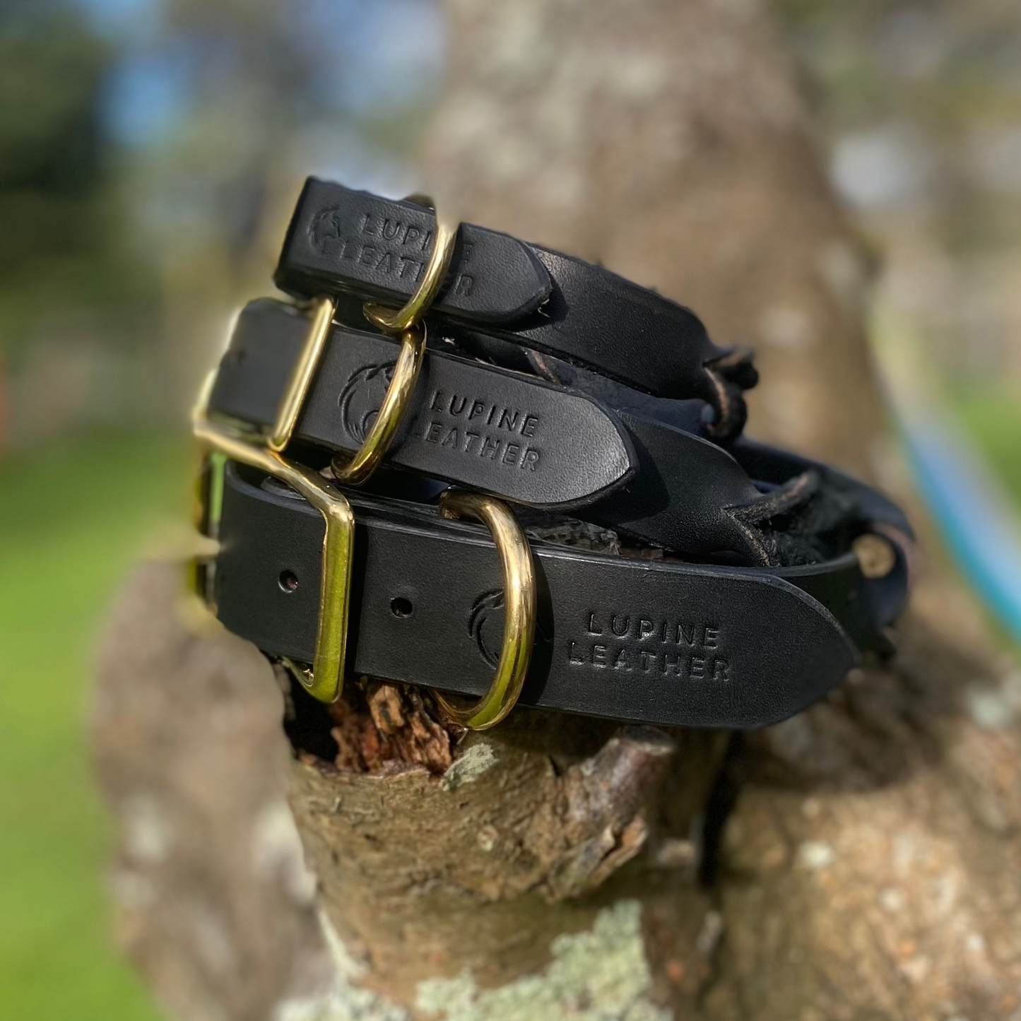 Braided Latigo Collar in Black