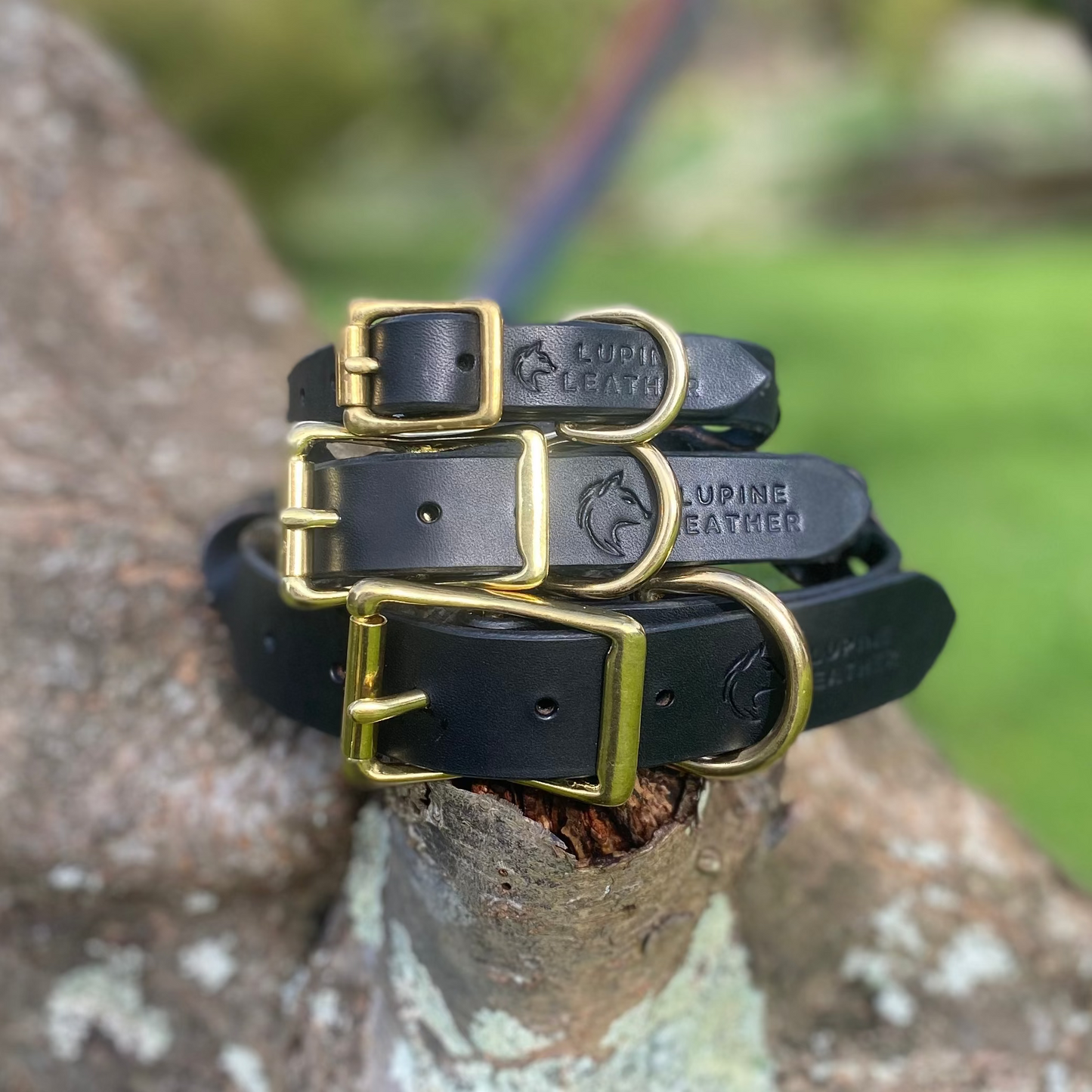 Braided Latigo Collar in Black
