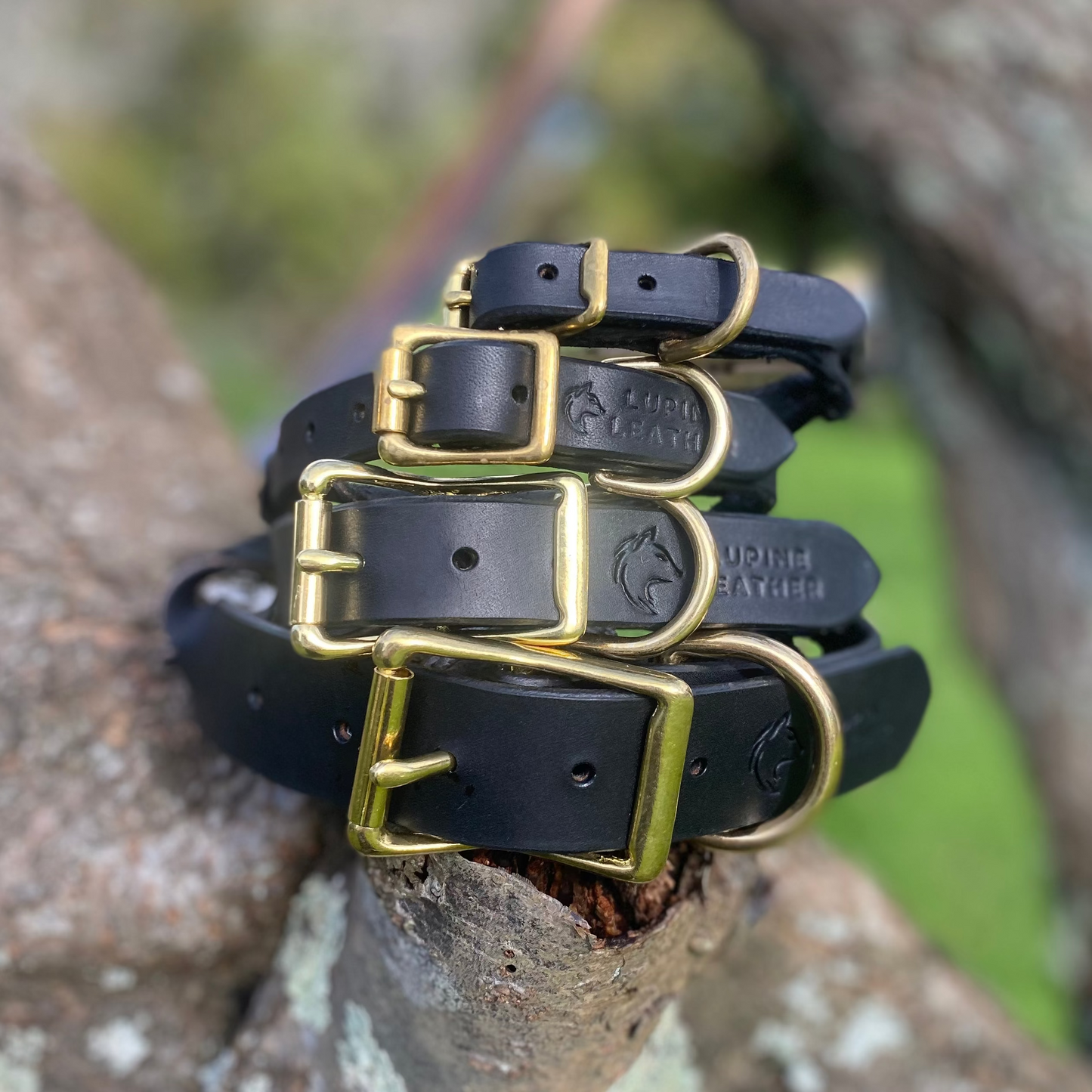 Braided Latigo Collar in Black