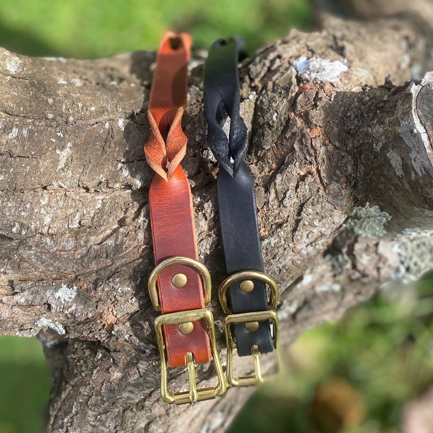 Braided Latigo Collar in Black