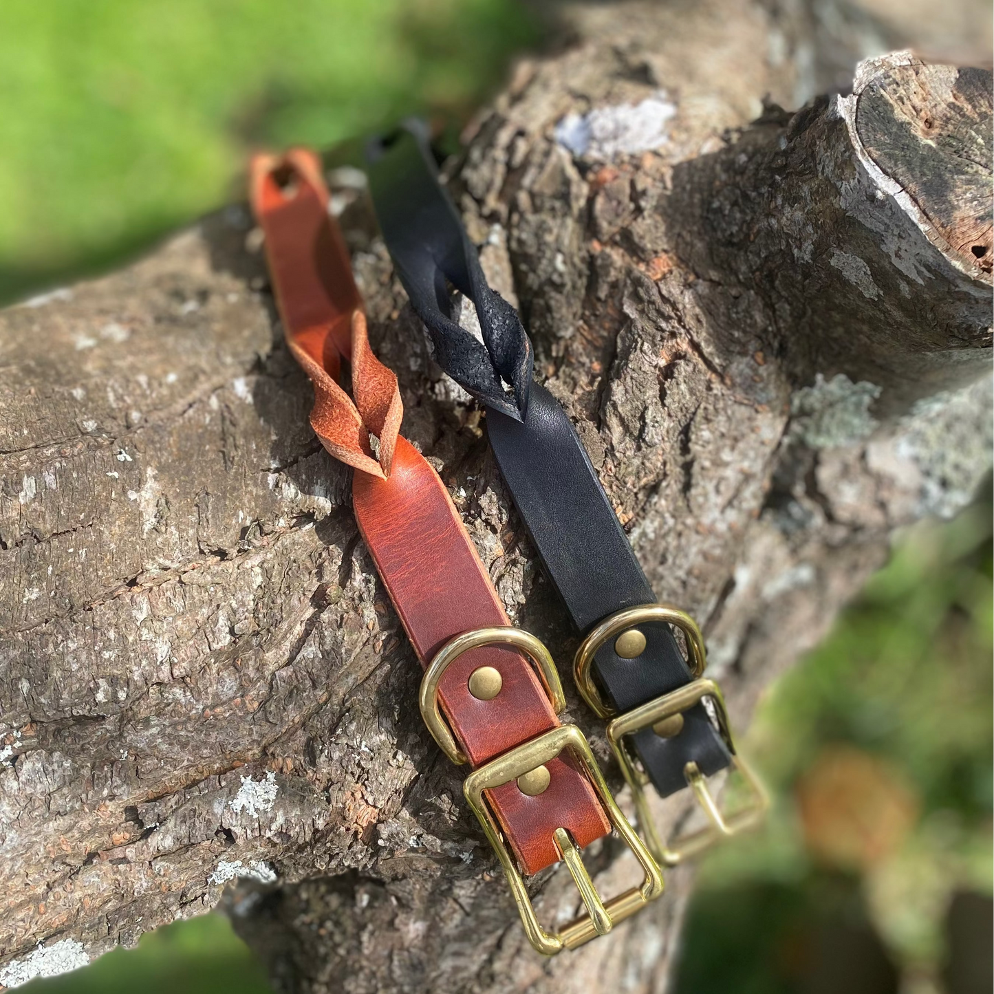 Braided Latigo Collar in Tan