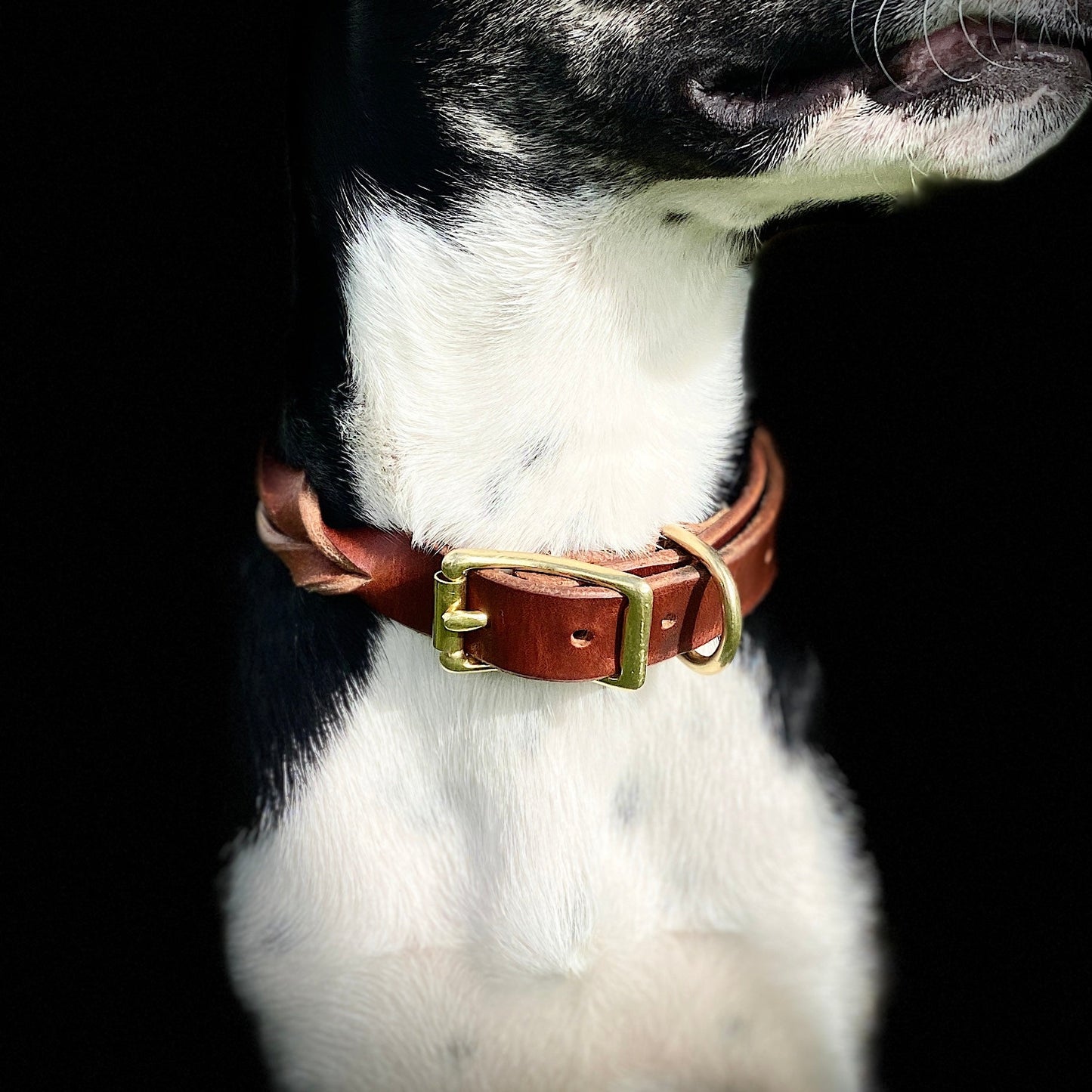 Braided Latigo Collar in Tan