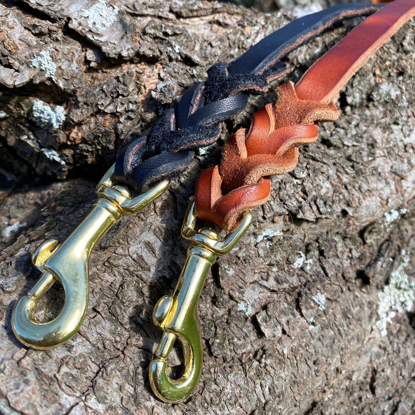 Leather dog leash with brass hooks on a tree trunk
