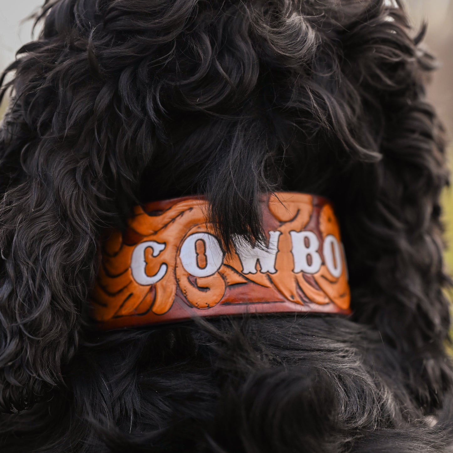 COWBOY - Western Themed Tooled Leather Dog Collar