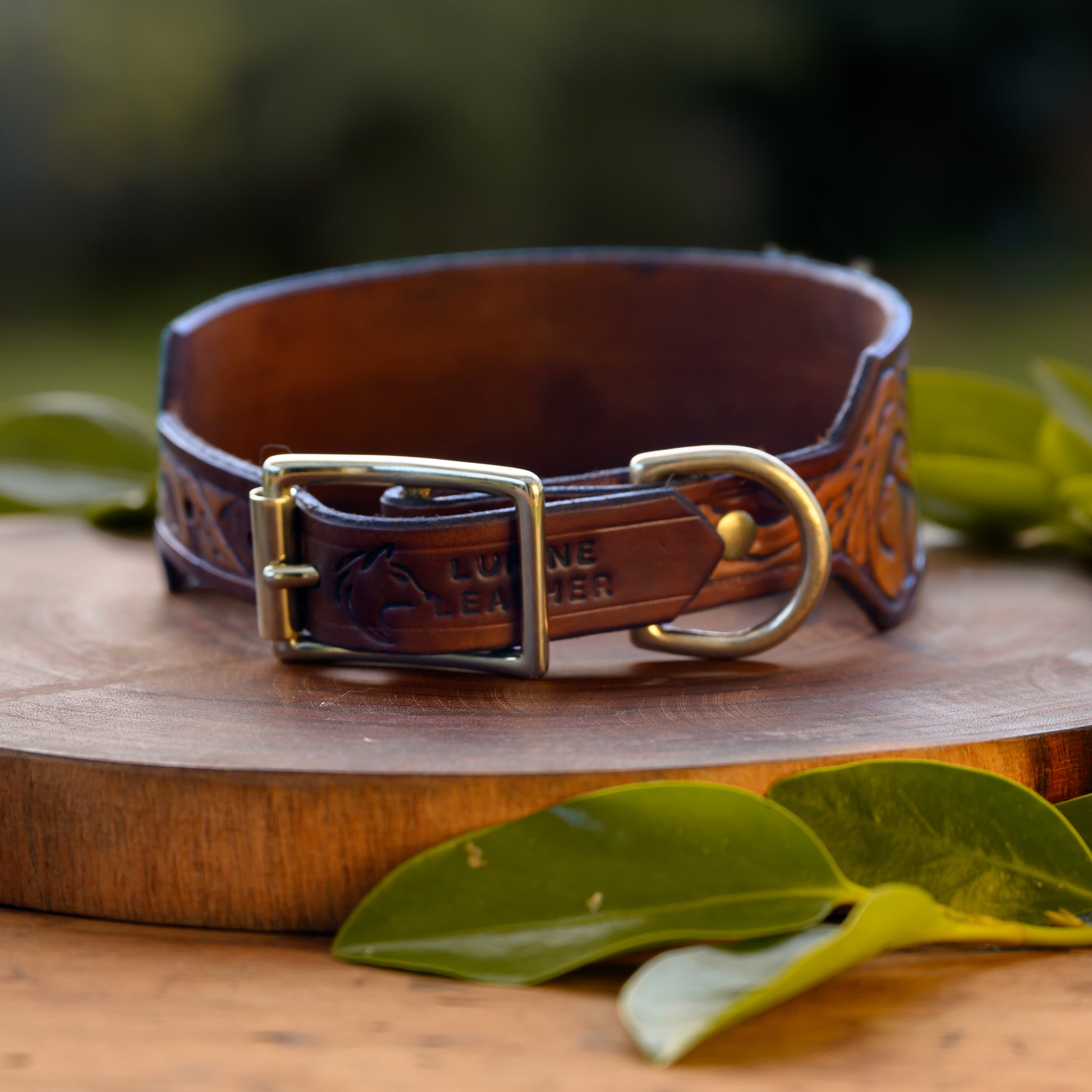 A brown leather dog collar with engraved floral detailing and a brass buckle, displayed on a round wooden slice with green leaves in a blurred outdoor setting.