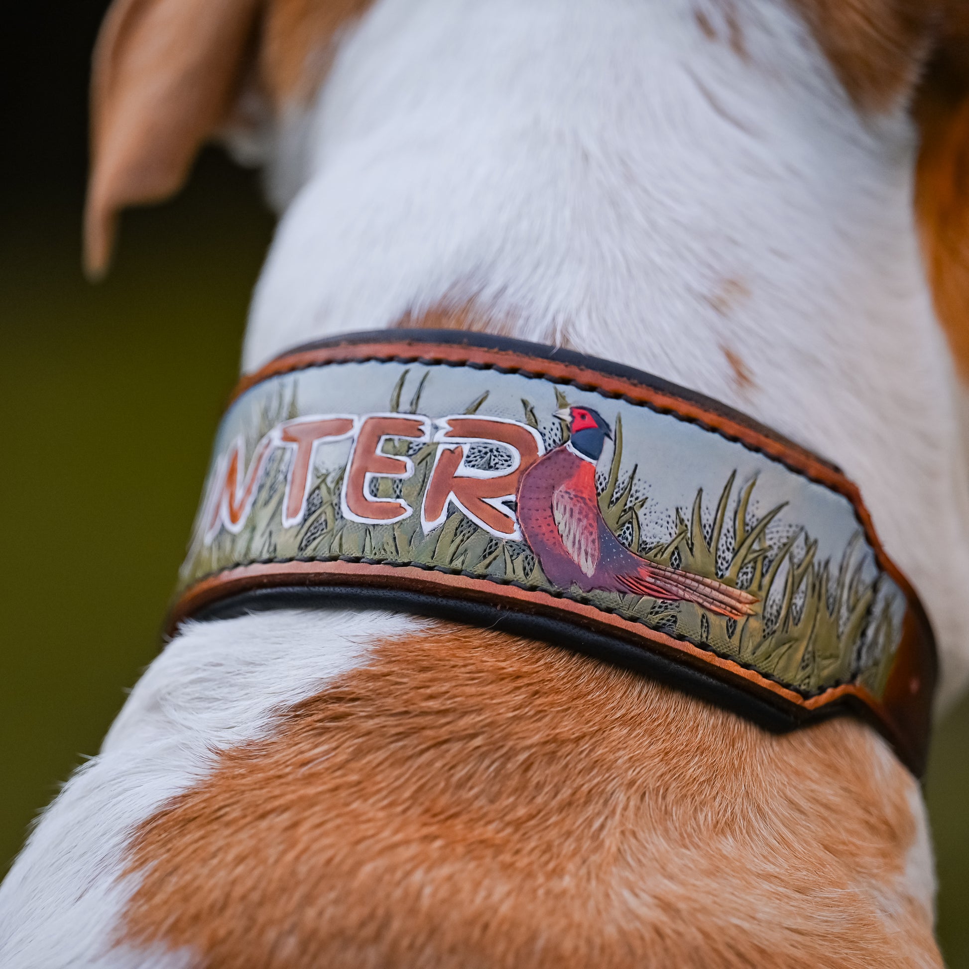 A close-up of a dog wearing a custom leather collar. The collar features the word 'HUNTER' in brown letters with white outlines, a painted pheasant bird, and a grassy background pattern.
