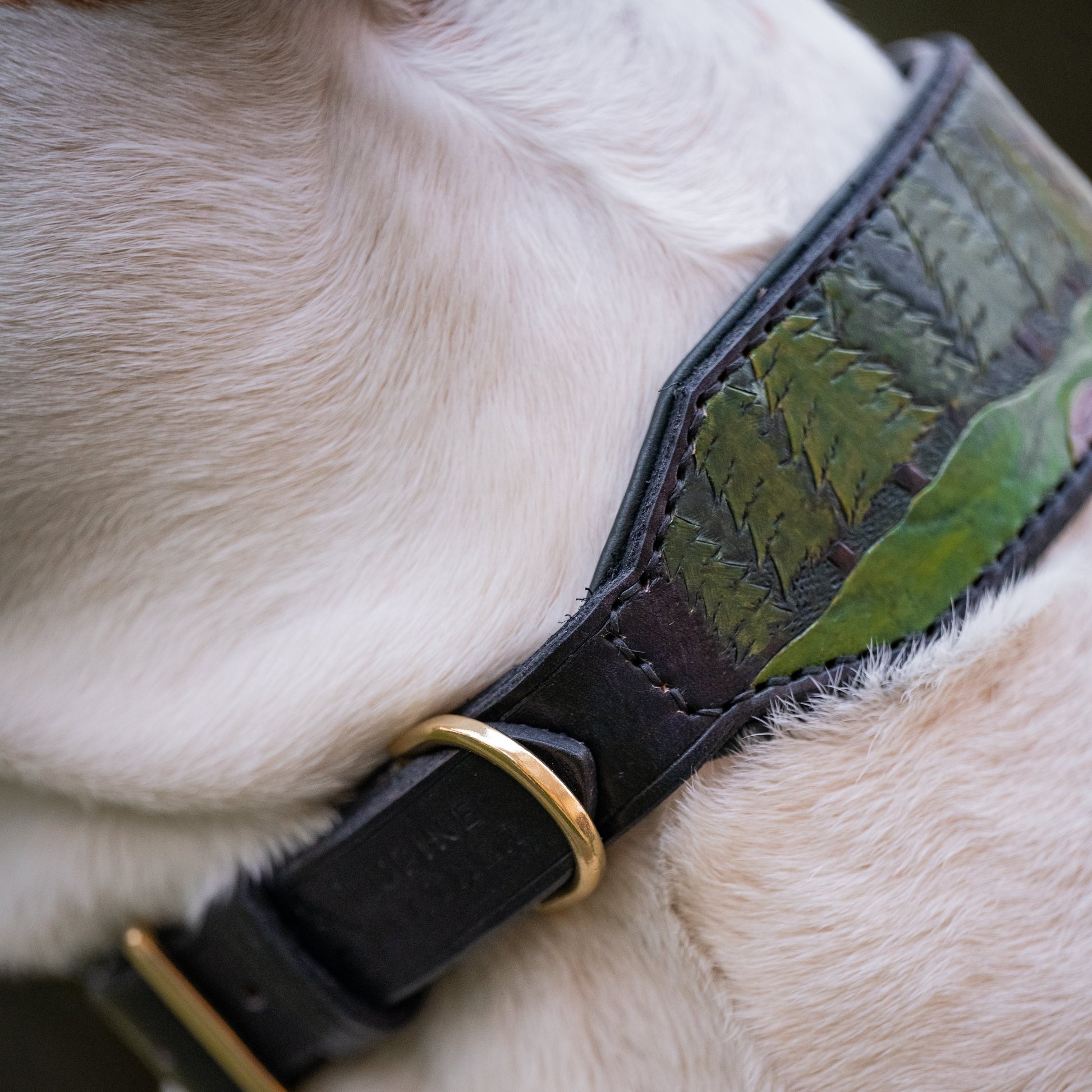 A close-up of a dog wearing a black leather collar with a green tooled forest pattern and solid brass hardware.
