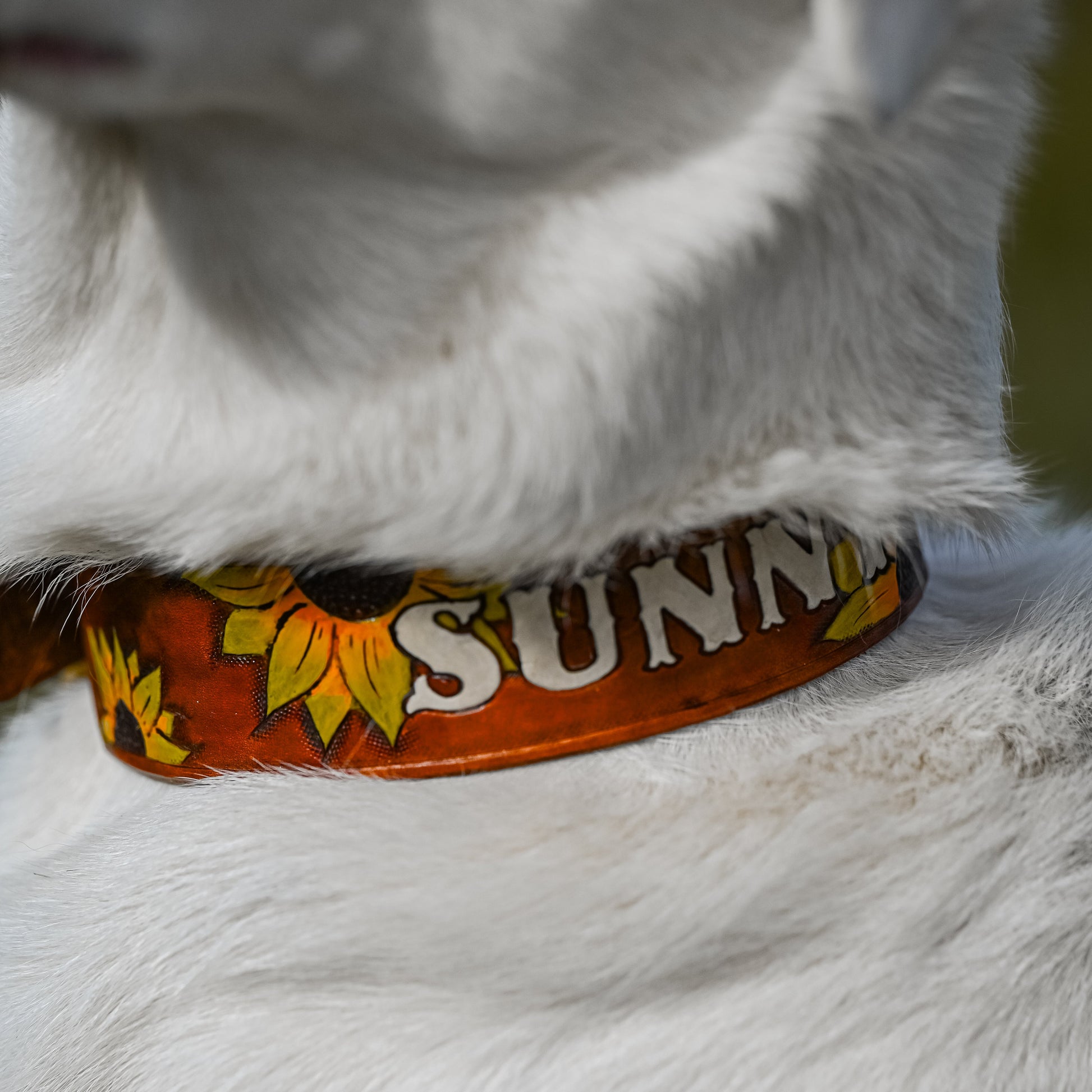 A close-up shot of a white dog wearing a custom printed collar. The collar is orange-brown with a pattern of yellow and orange autumn leaves and the word 'SUNNY' in white block letters.