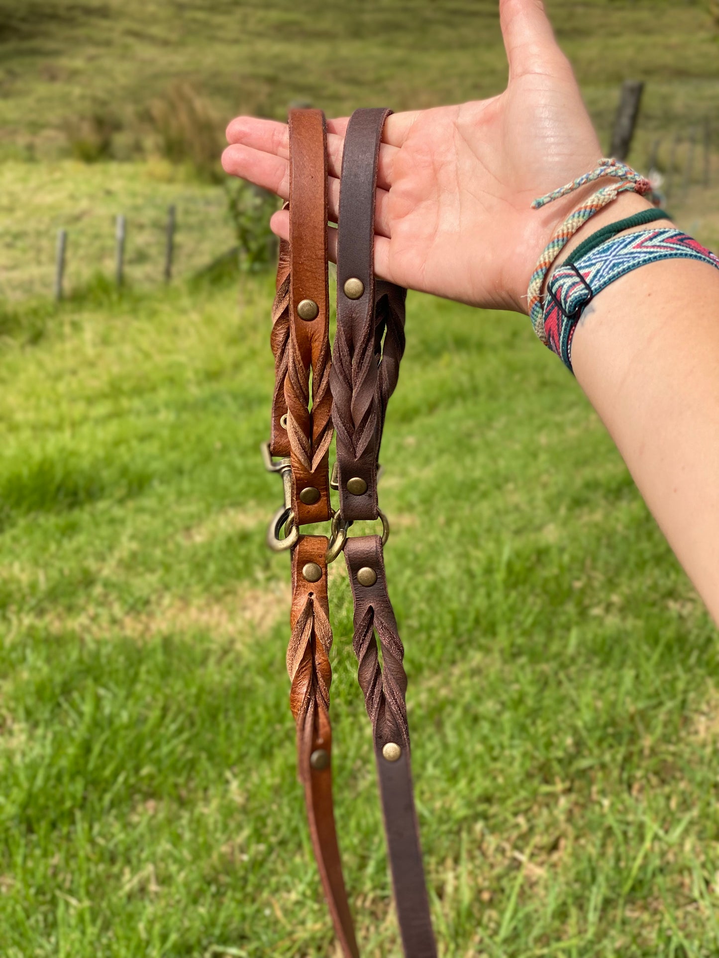 Braided Leather Multi-Leash