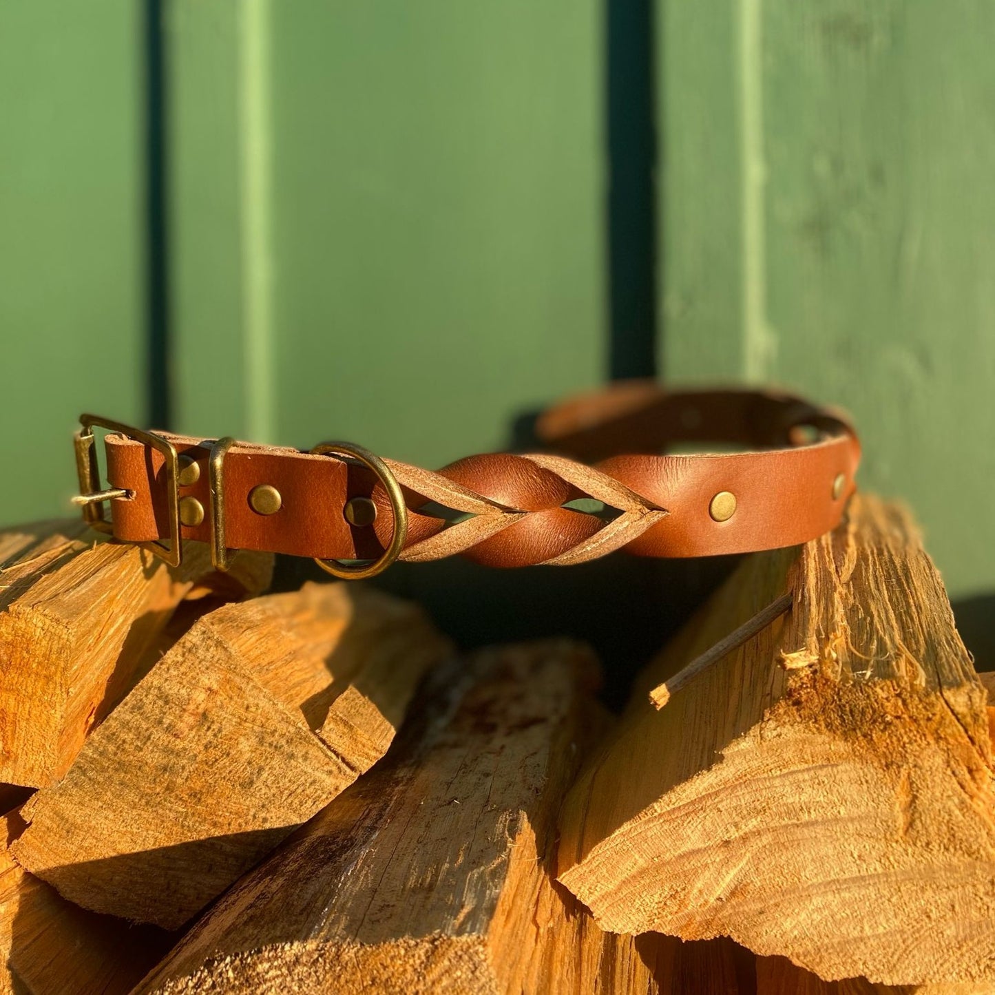 "Rask" - Braided Leather Buckle Collar