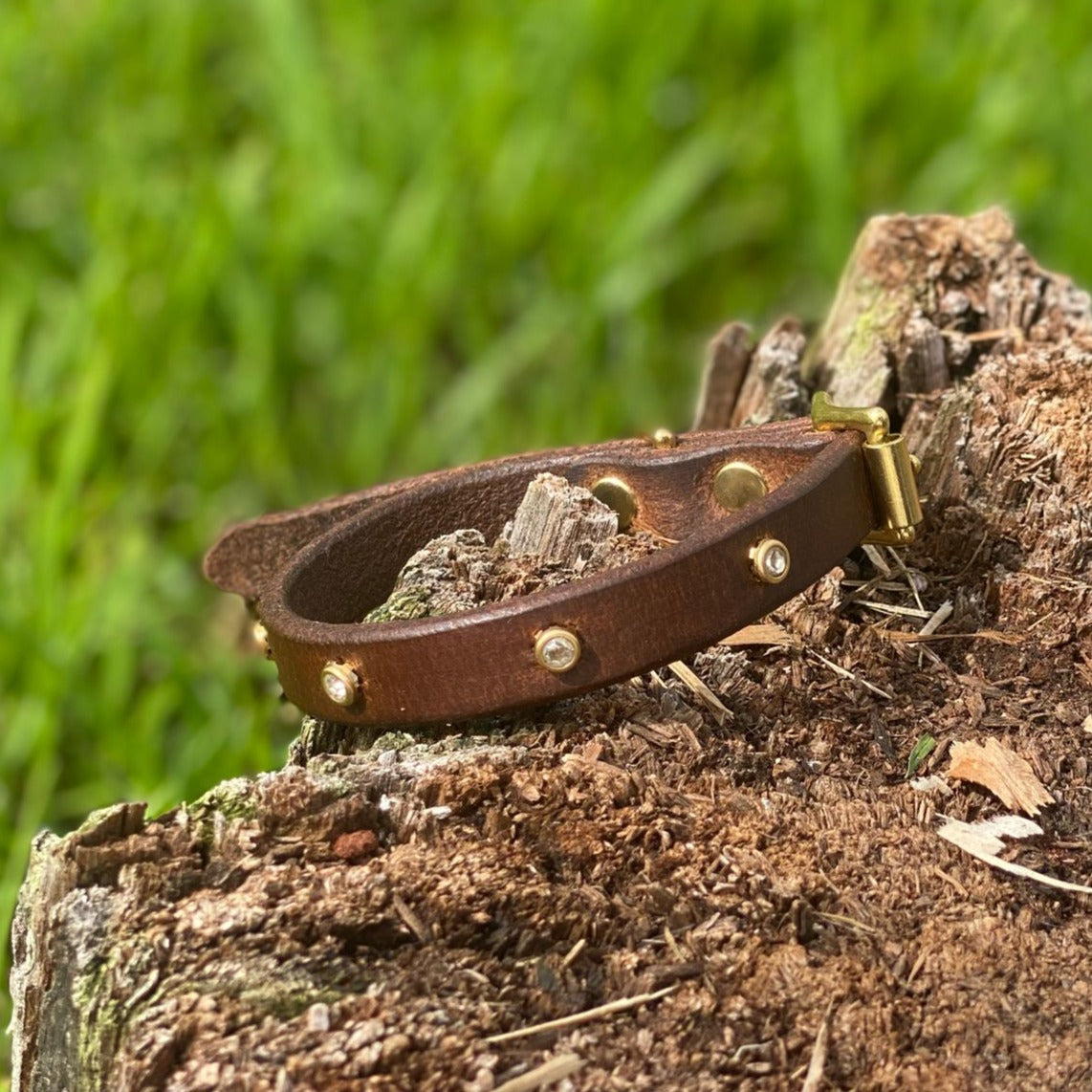 "Kaia" - Small-Medium Breed Studded Leather Buckle Collar