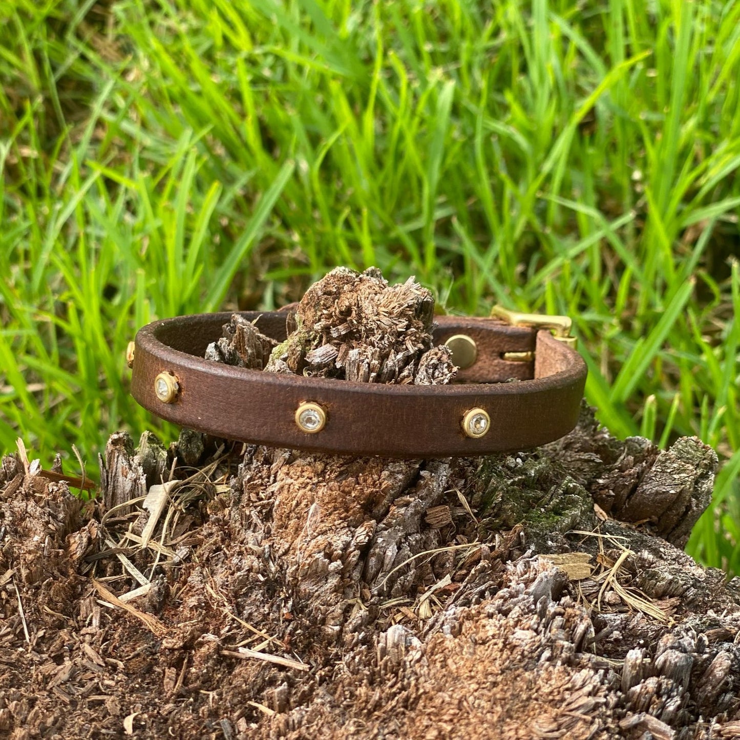 "Kaia" - Small-Medium Breed Studded Leather Buckle Collar