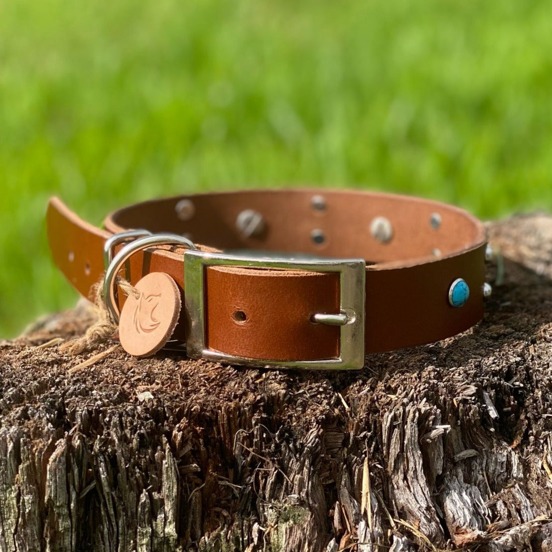 "Gemma" - Wide Leather Buckle Collar