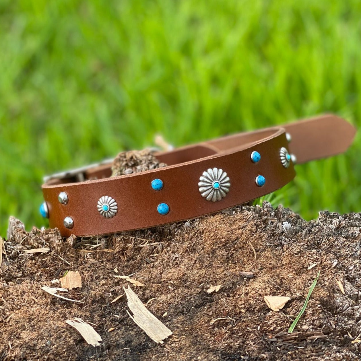 "Gemma" - Wide Leather Buckle Collar