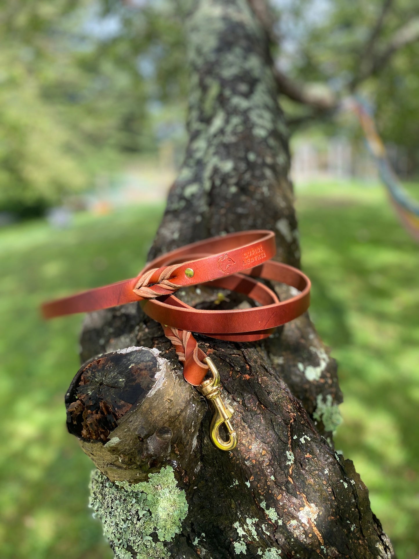 Braided Latigo Leash in Tan