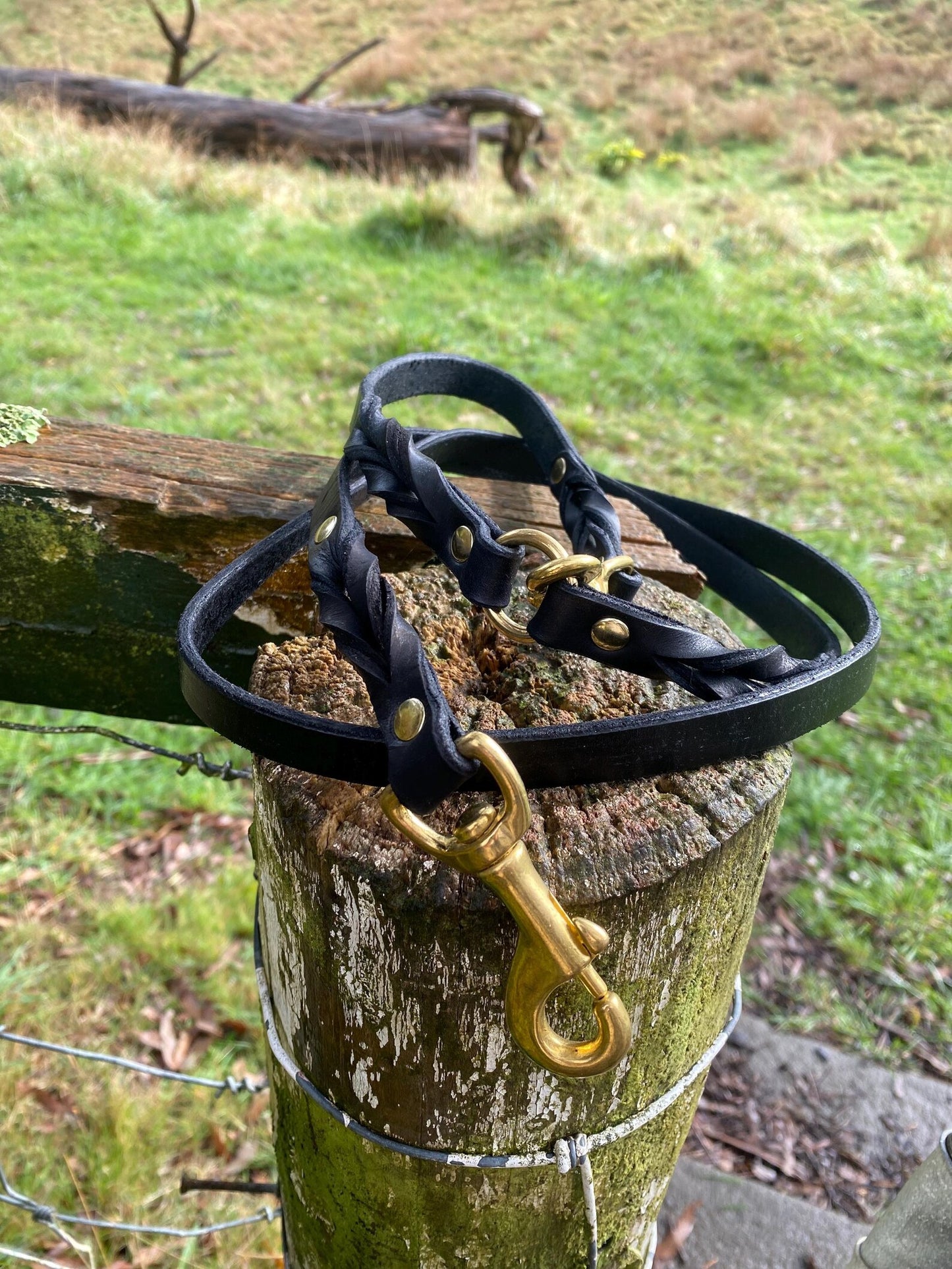 Braided Leather 5ft Black & Brass Snap Leash