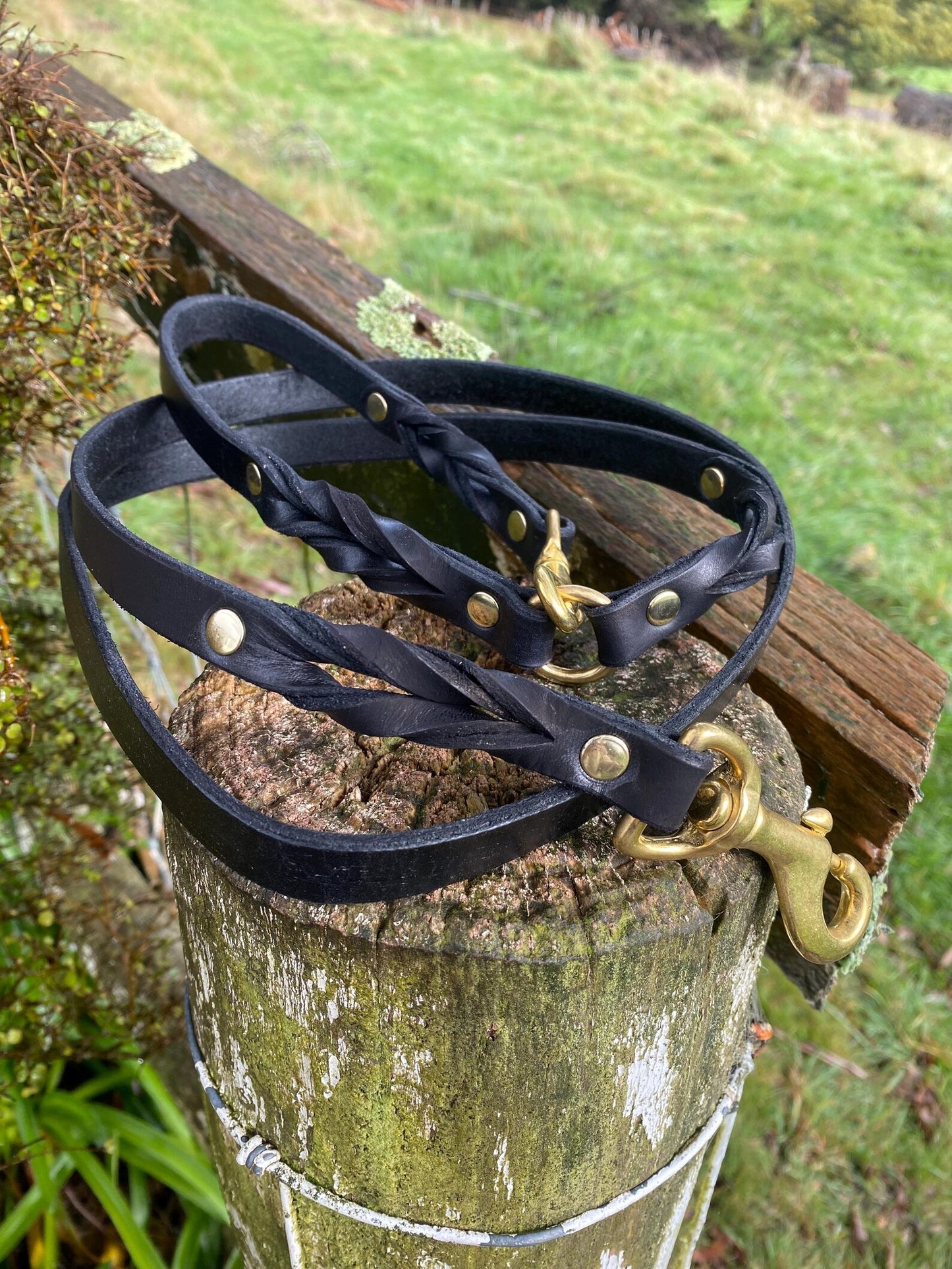 Braided Leather 5ft Black & Brass Snap Leash