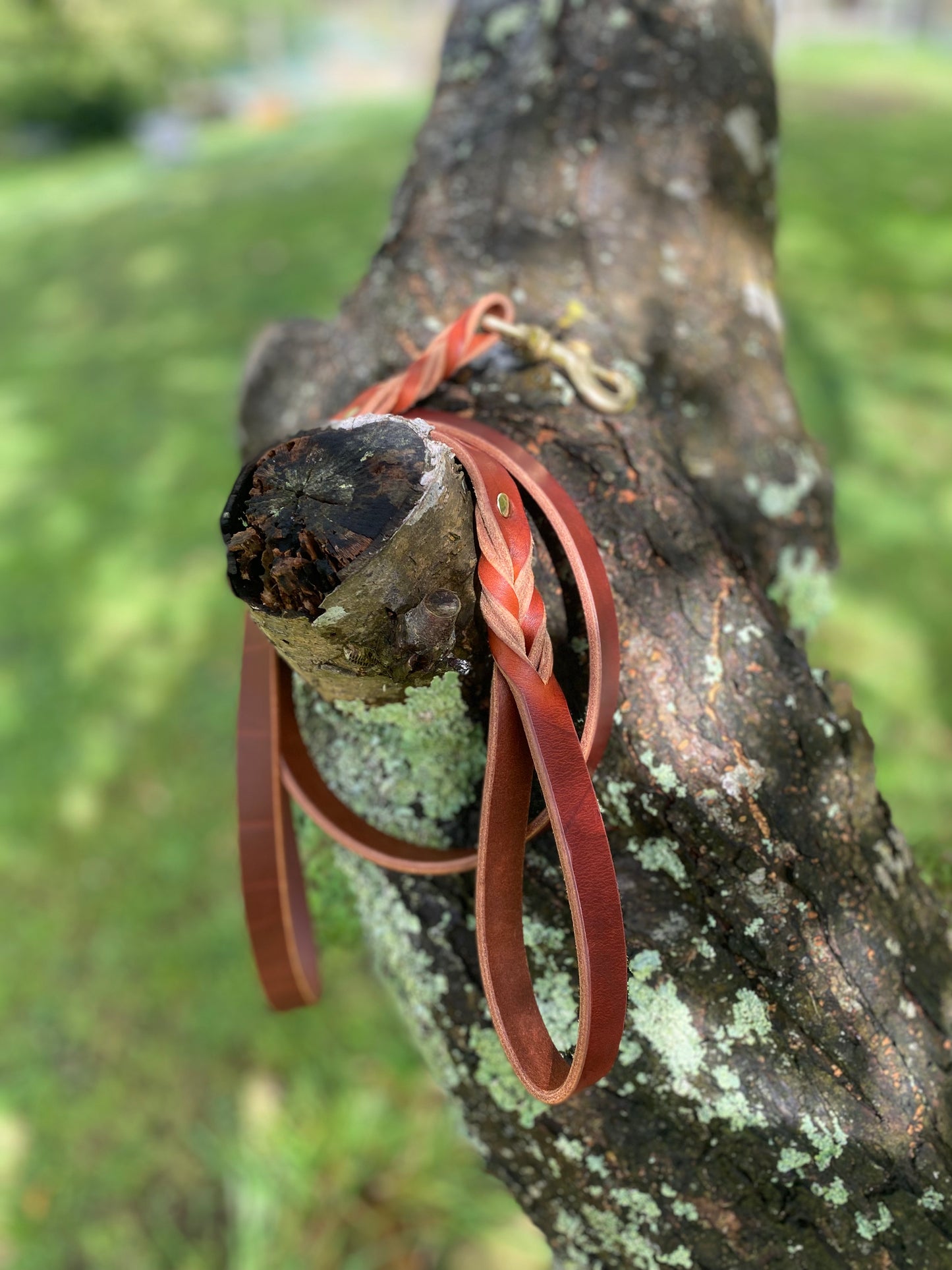 Braided Latigo Leash in Tan
