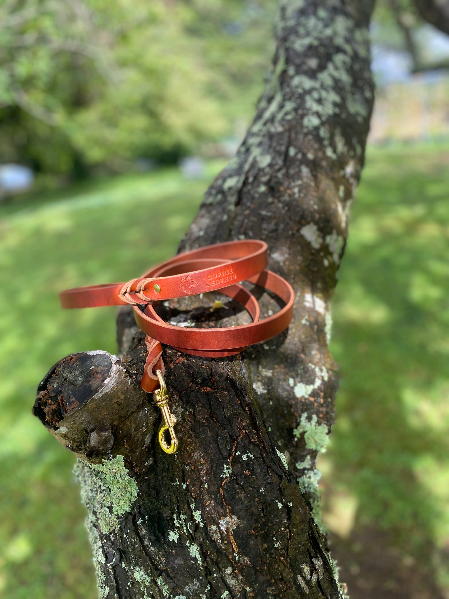 Braided Latigo Leash in Tan